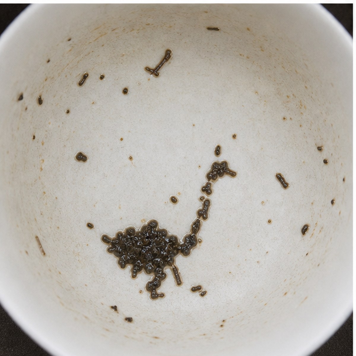 Goose tea leaves cup variation two