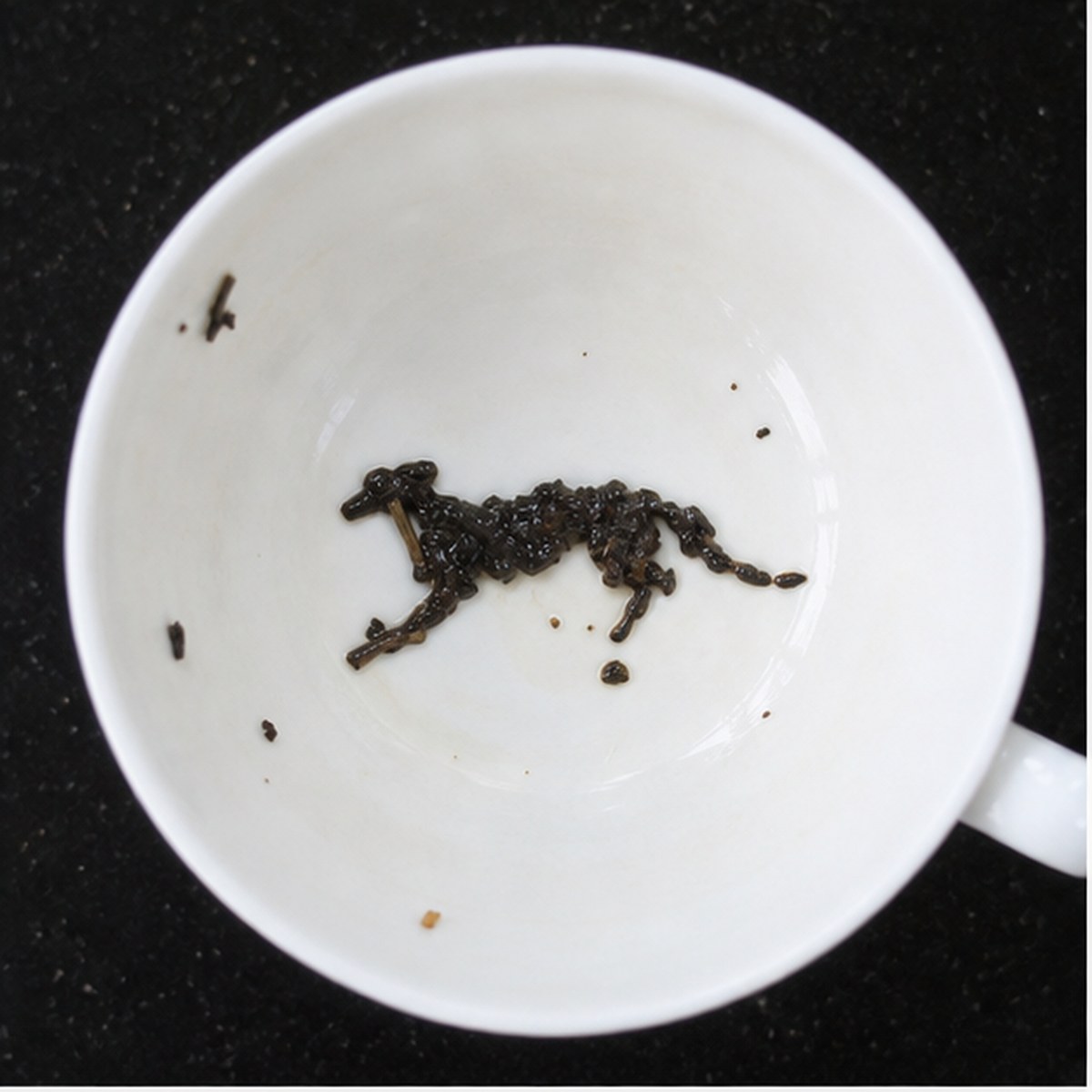 Greyhound tea leaf reading cup example