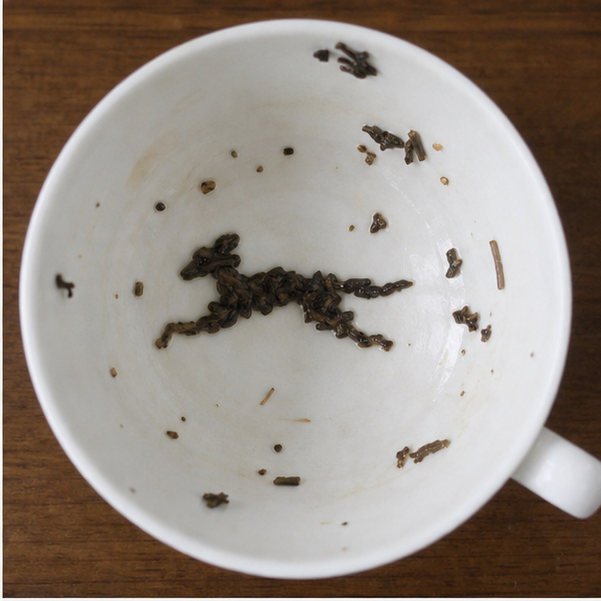 Greyhound tea leaves cup variation one