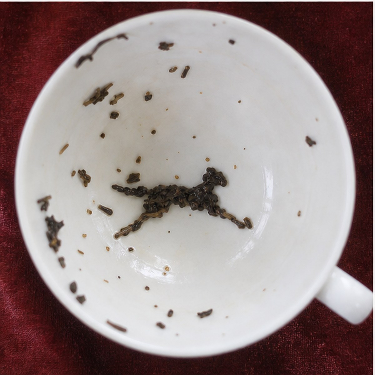 Greyhound tea leaves cup variation two