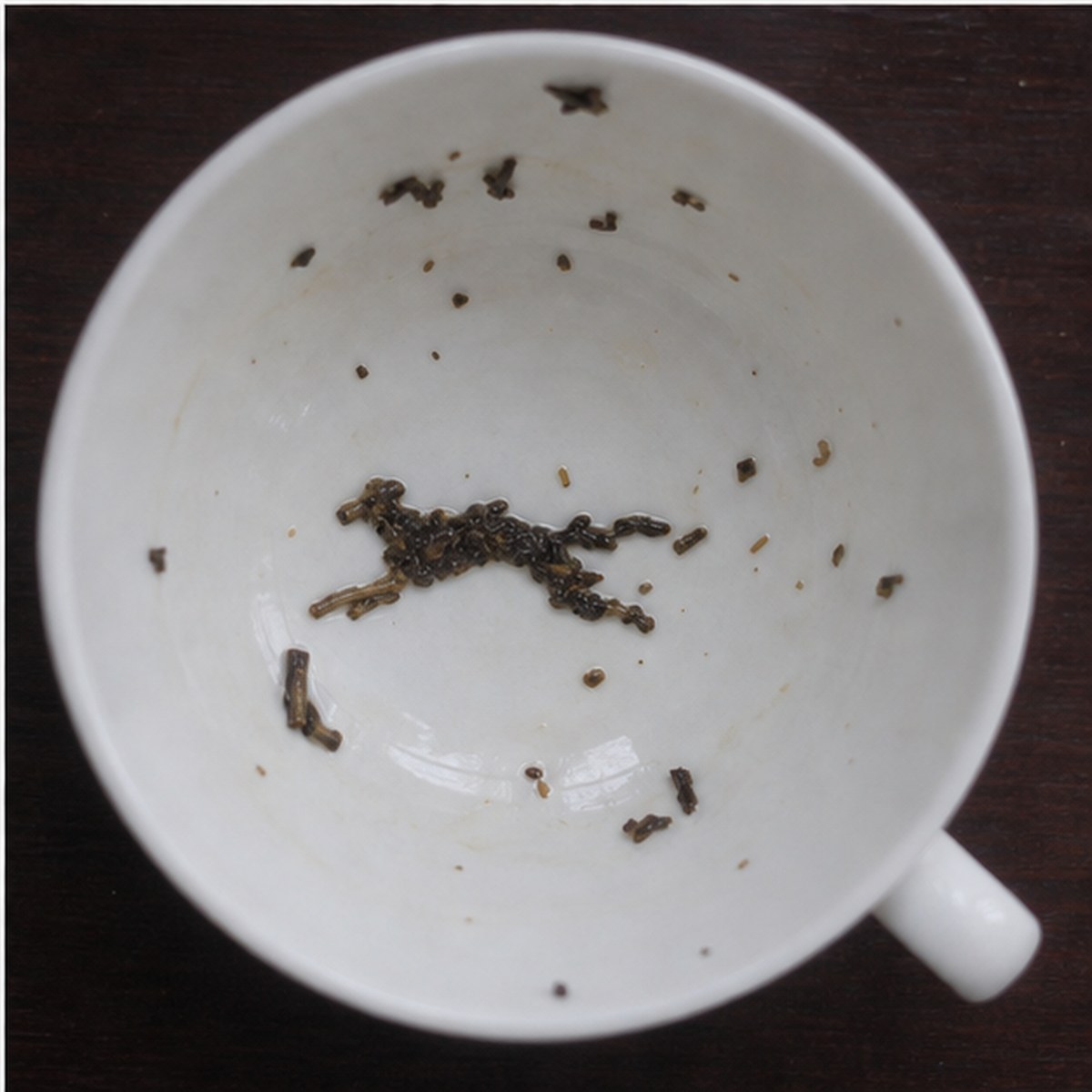 Greyhound tea leaves cup variation three