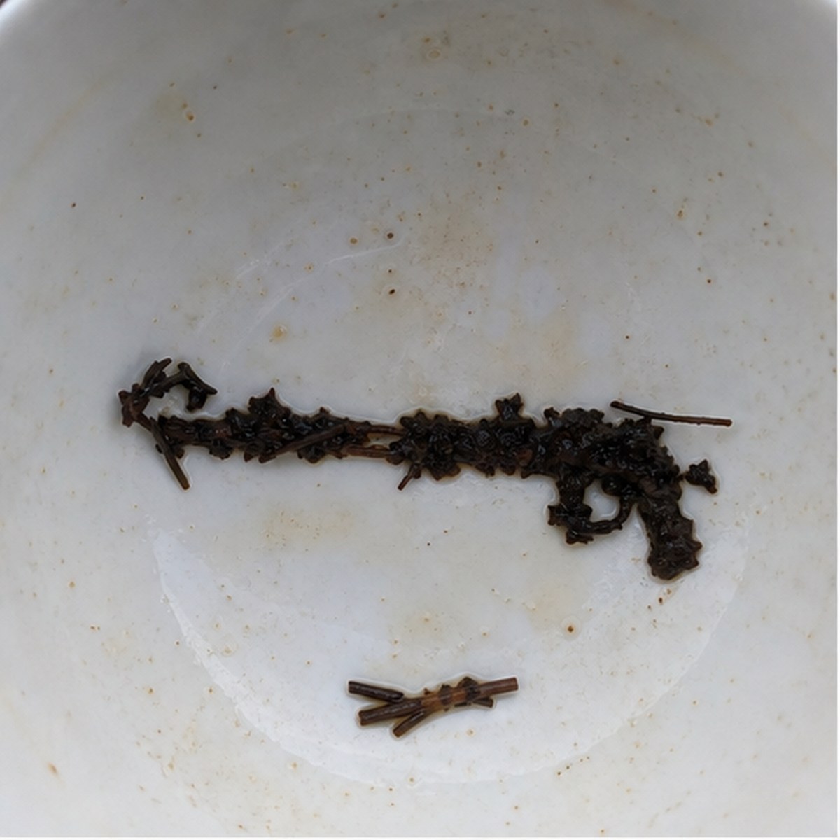 Gun tea leaf reading cup example