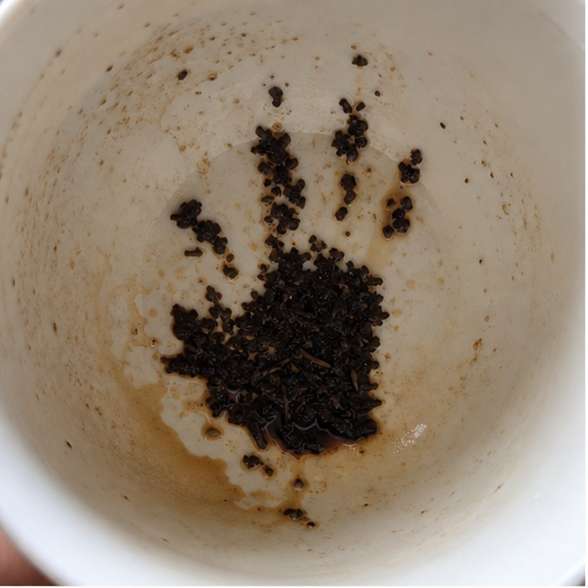 Hand tea leaf reading cup example