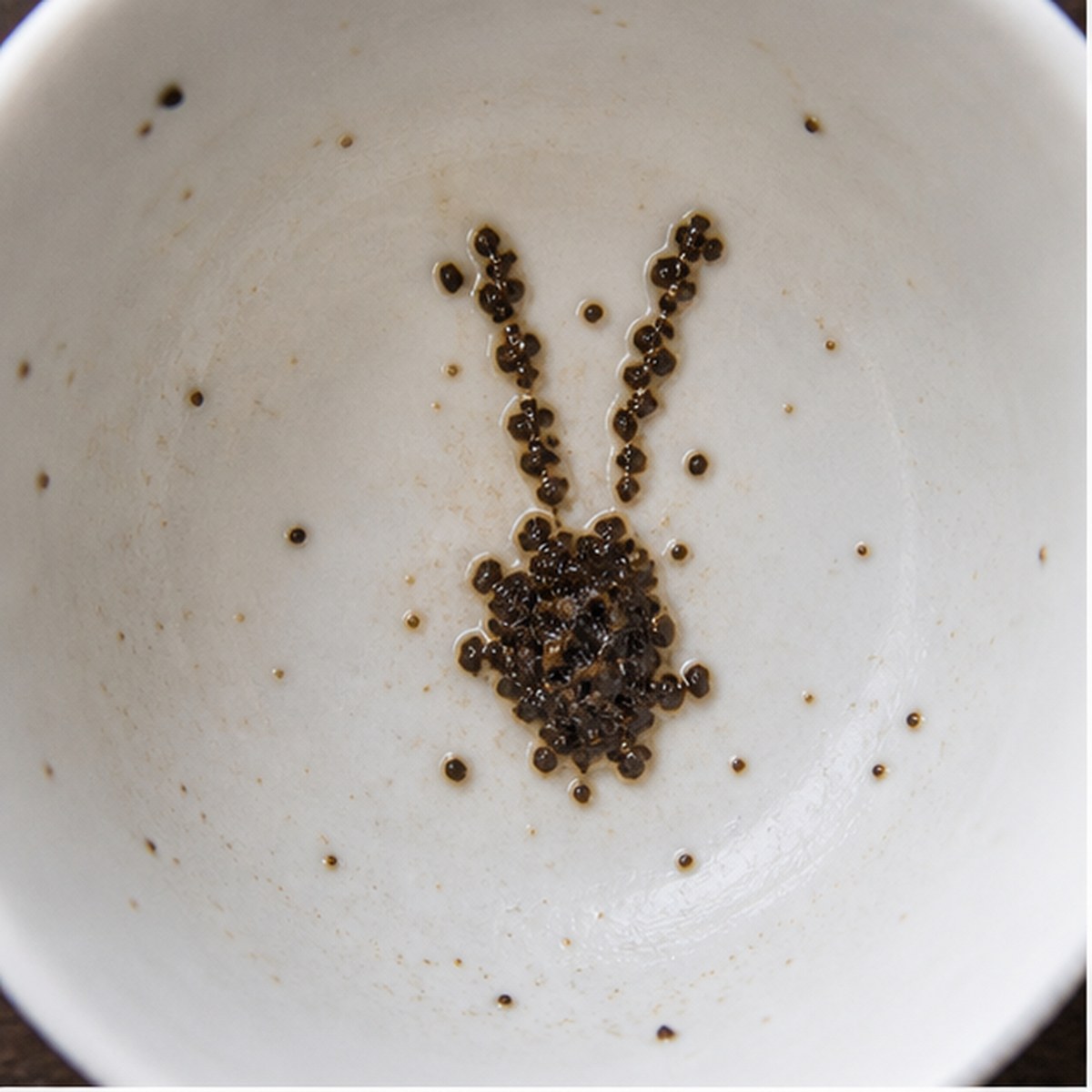 Hare tea leaf reading cup example