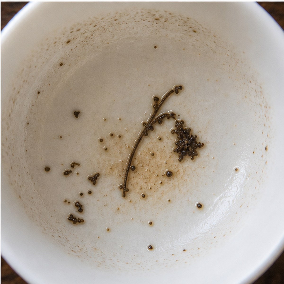 Harebell tea leaves cup variation three