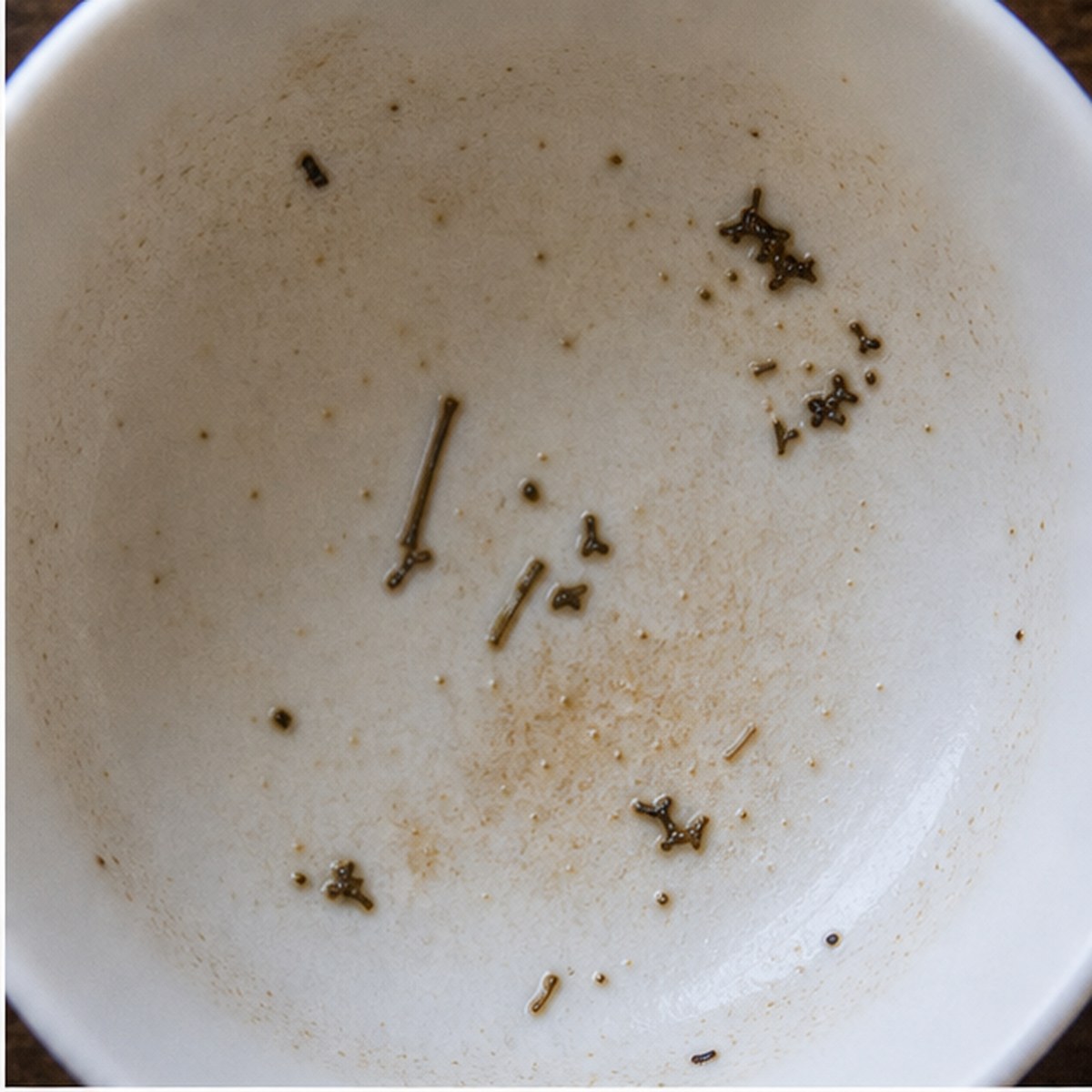 Harp tea leaves cup variation one