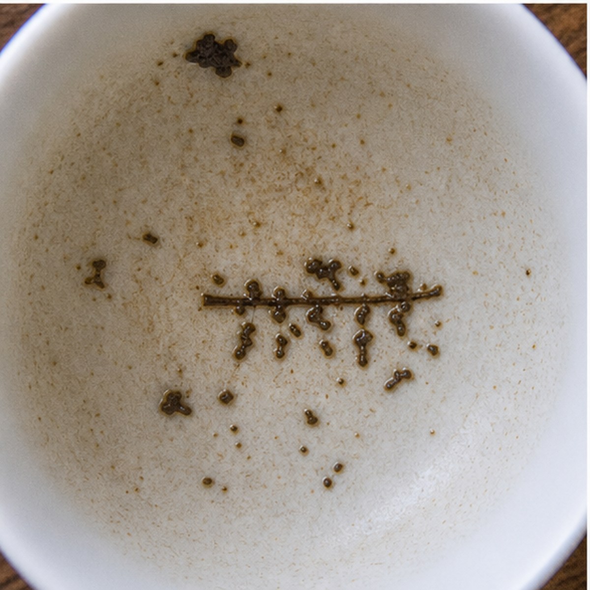 Harrow tea leaves cup variation two
