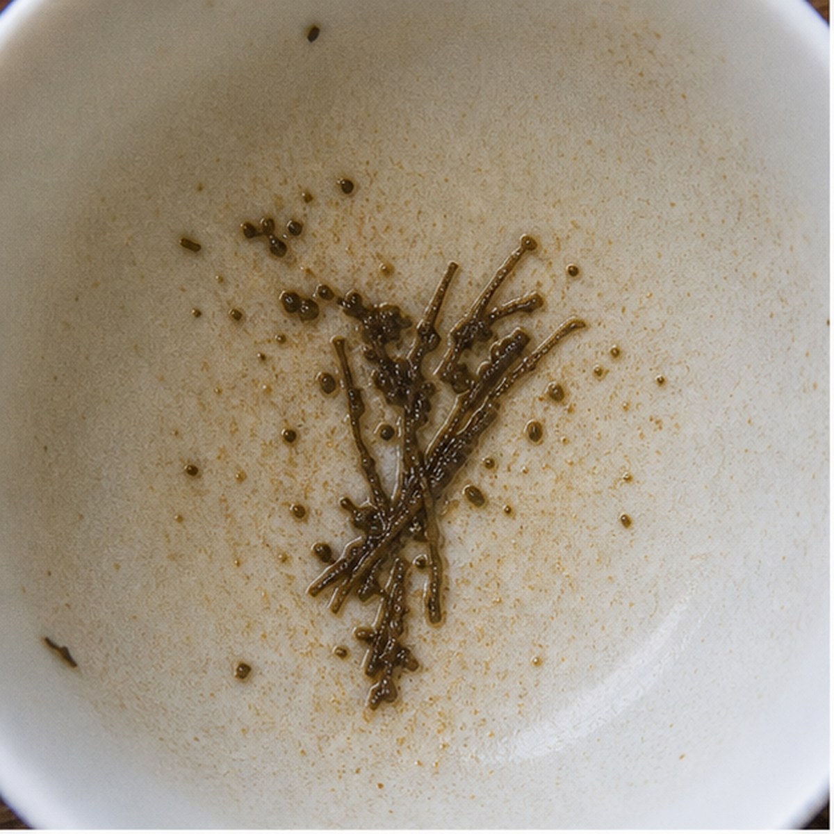 Harvest tea leaf reading cup example