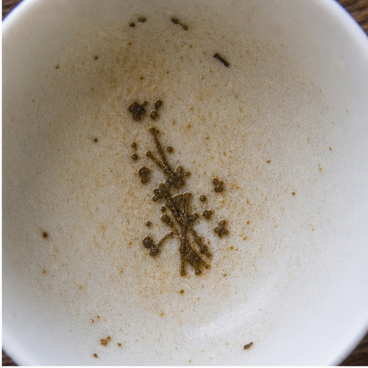 Harvest tea leaves cup variation one