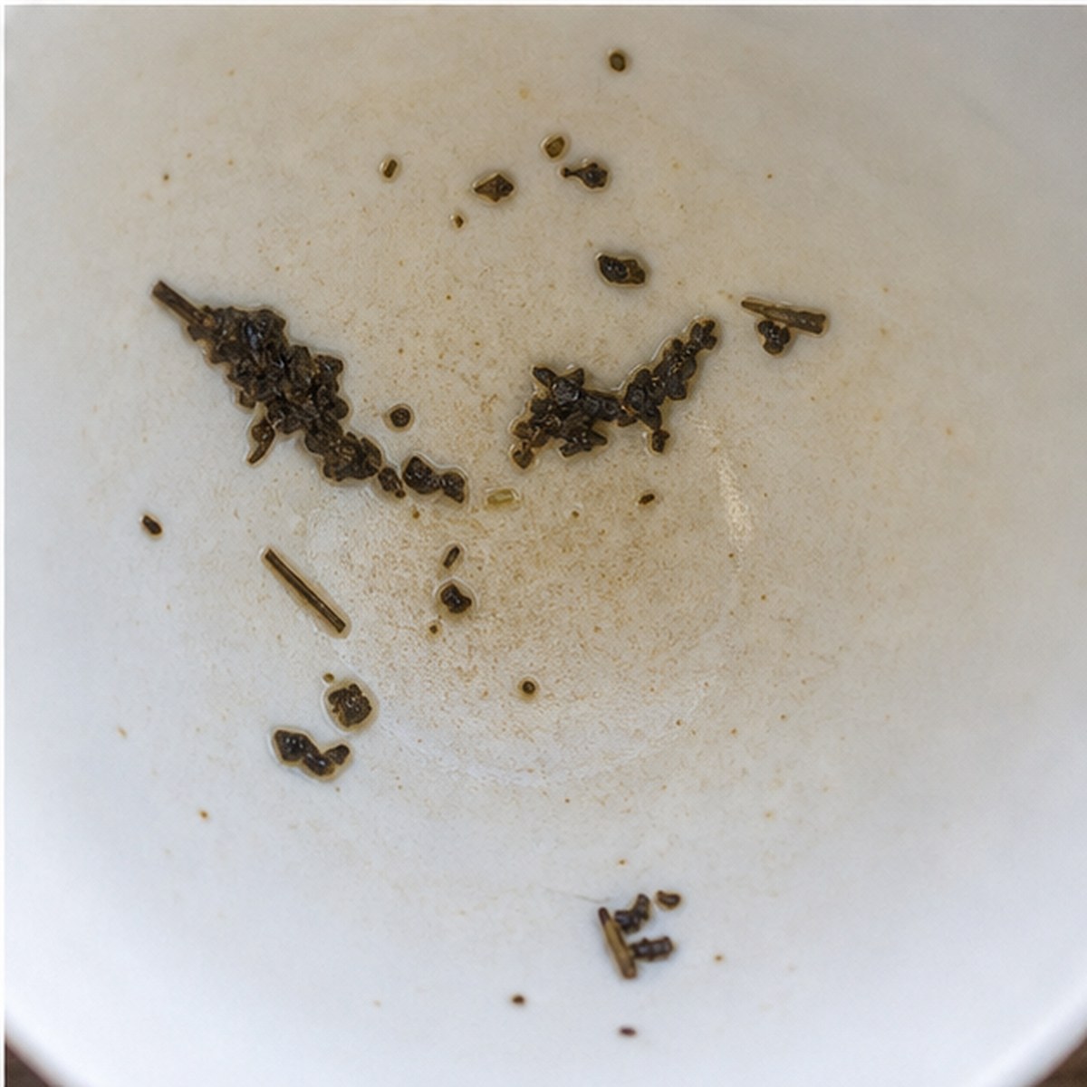 Hawk tea leaves cup variation three