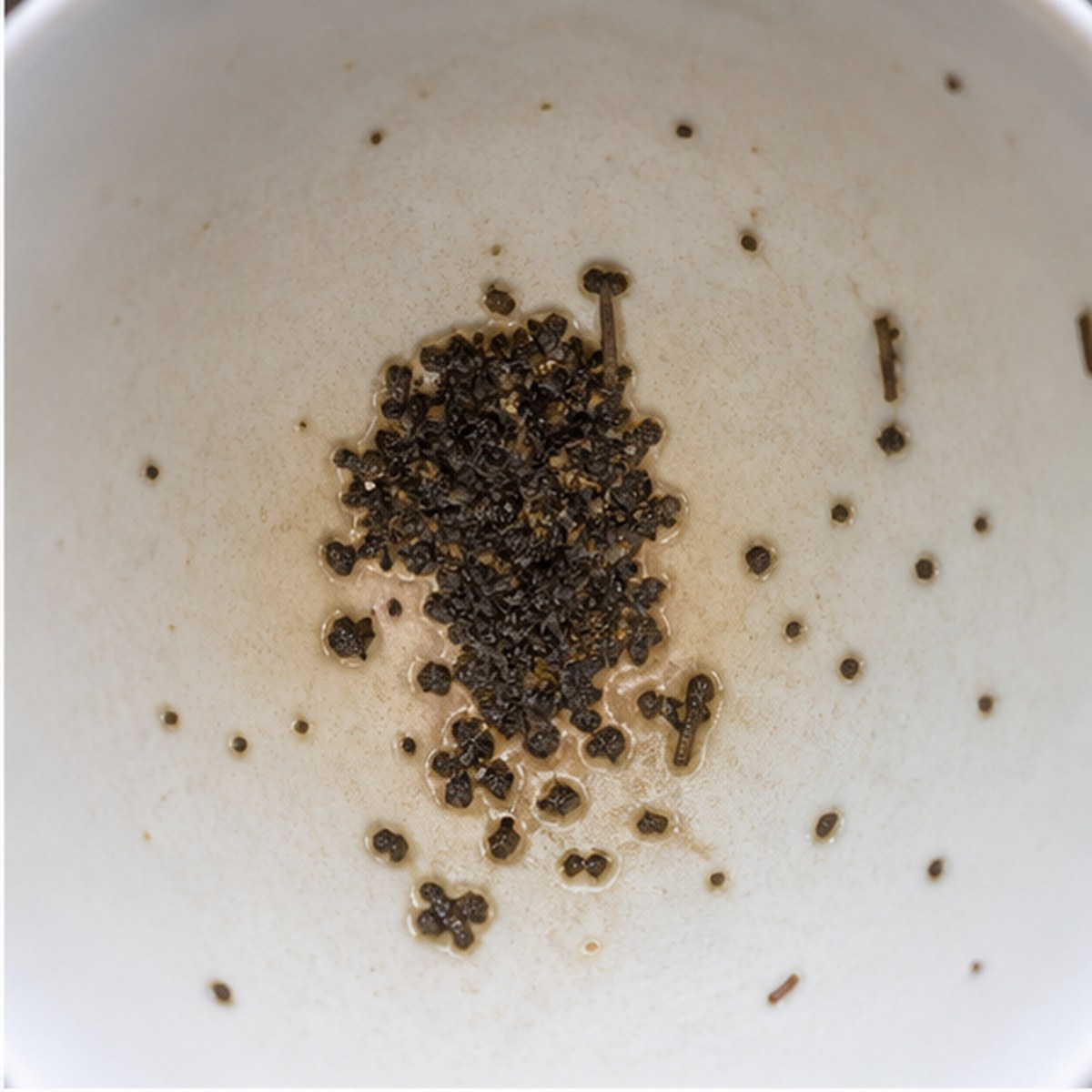 Head tea leaves cup variation one