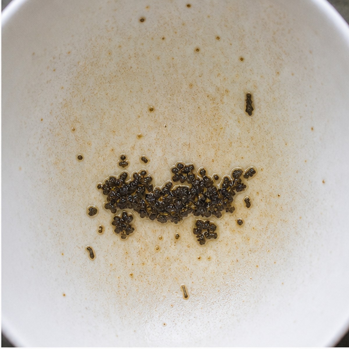 Hearse tea leaves cup variation one