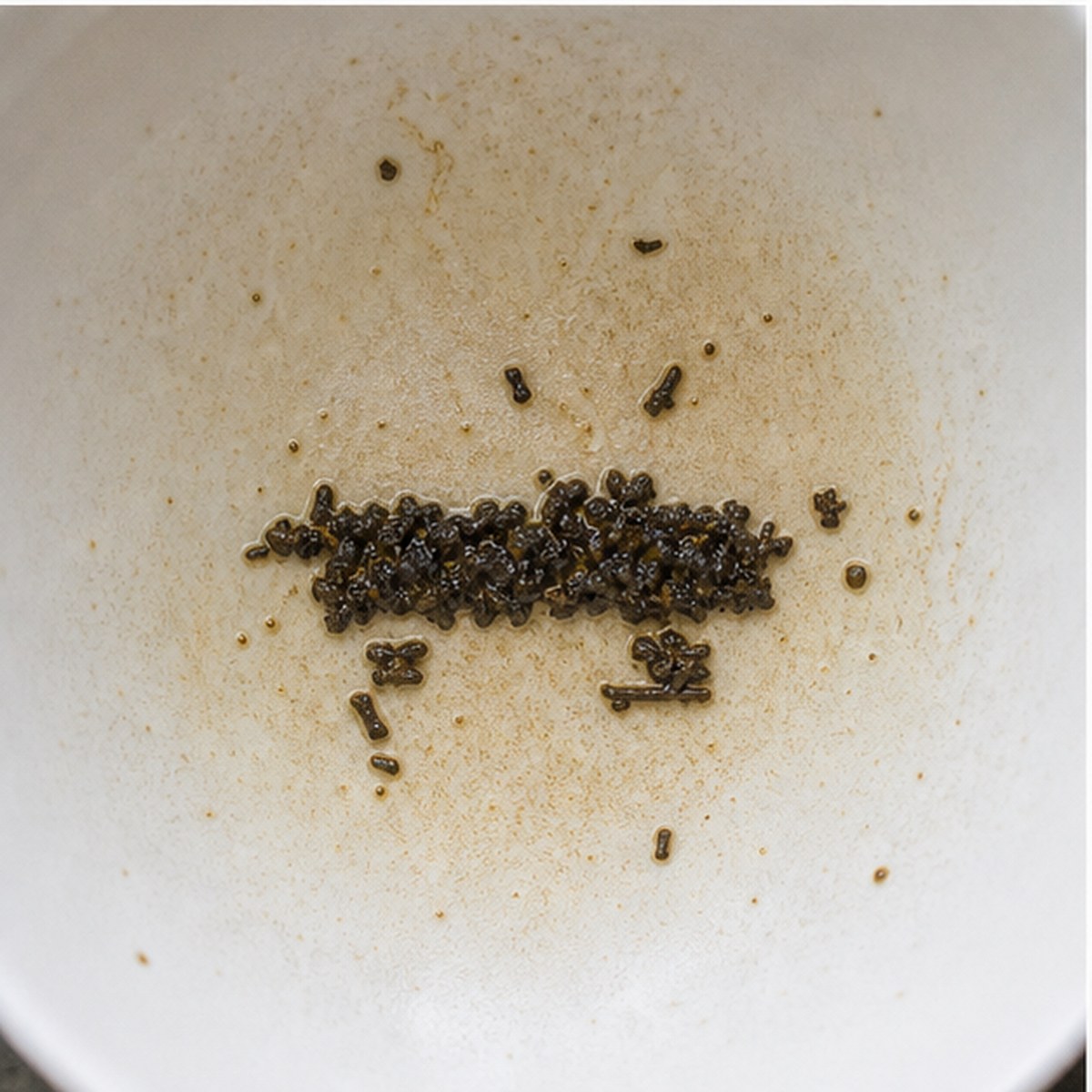 Hearse tea leaves cup variation two