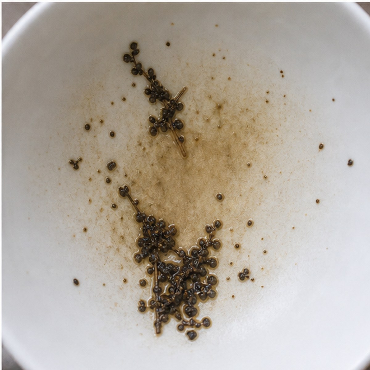 Heather tea leaves cup variation three