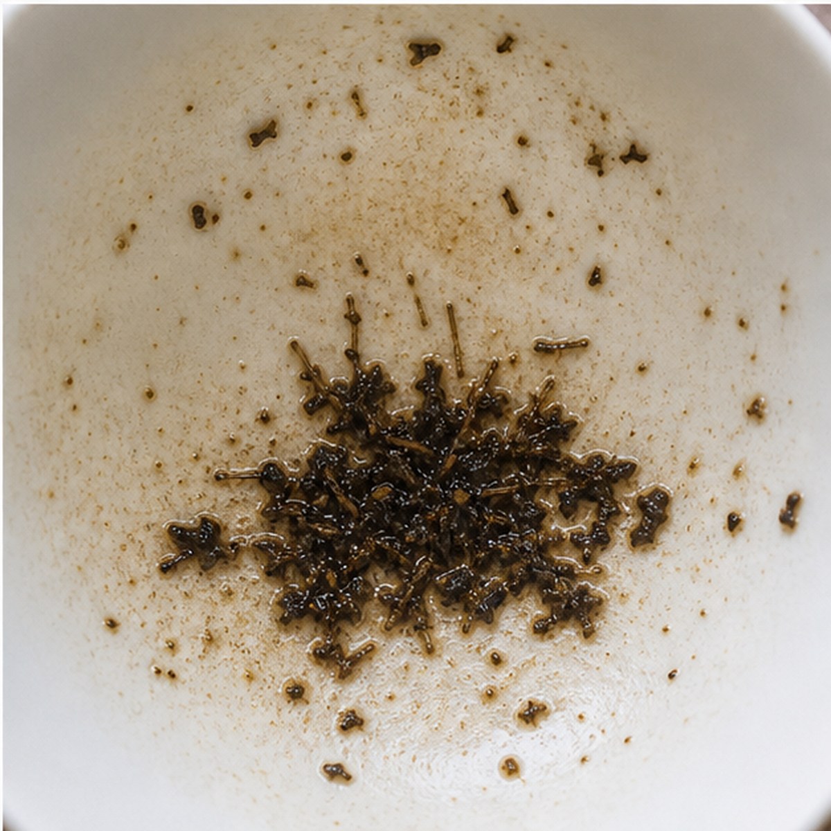 Hedgehog tea leaves cup variation three