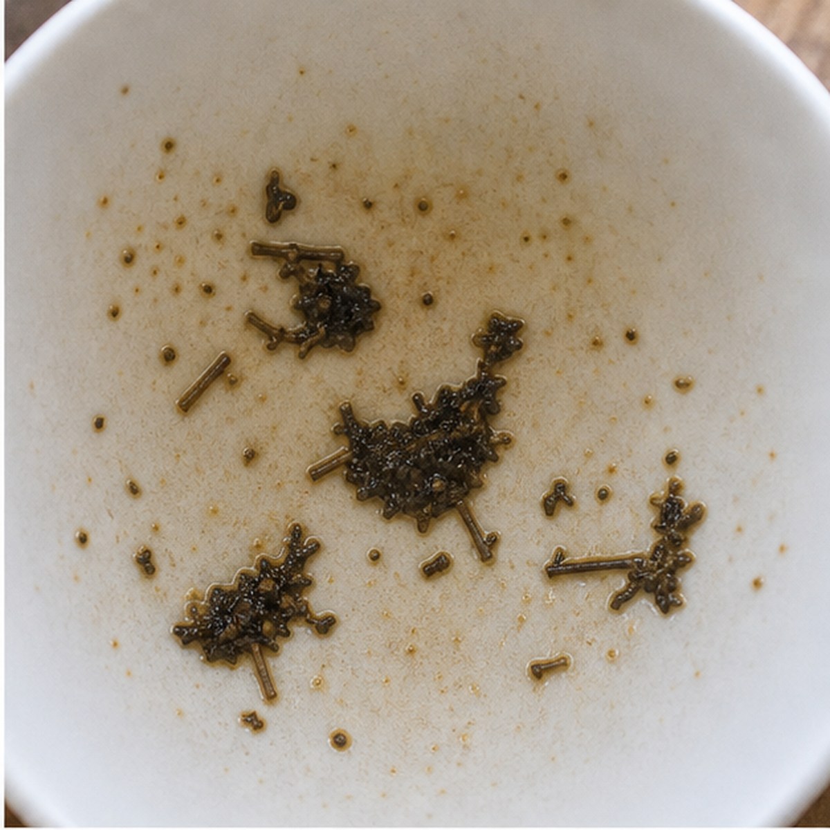 Hens tea leaves cup variation one