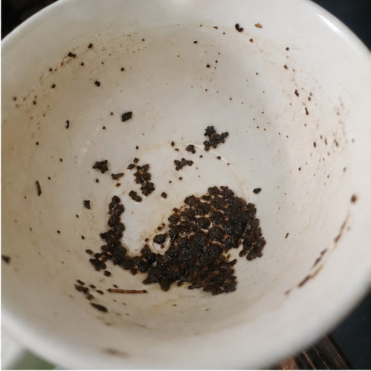 Hive tea leaves cup variation one