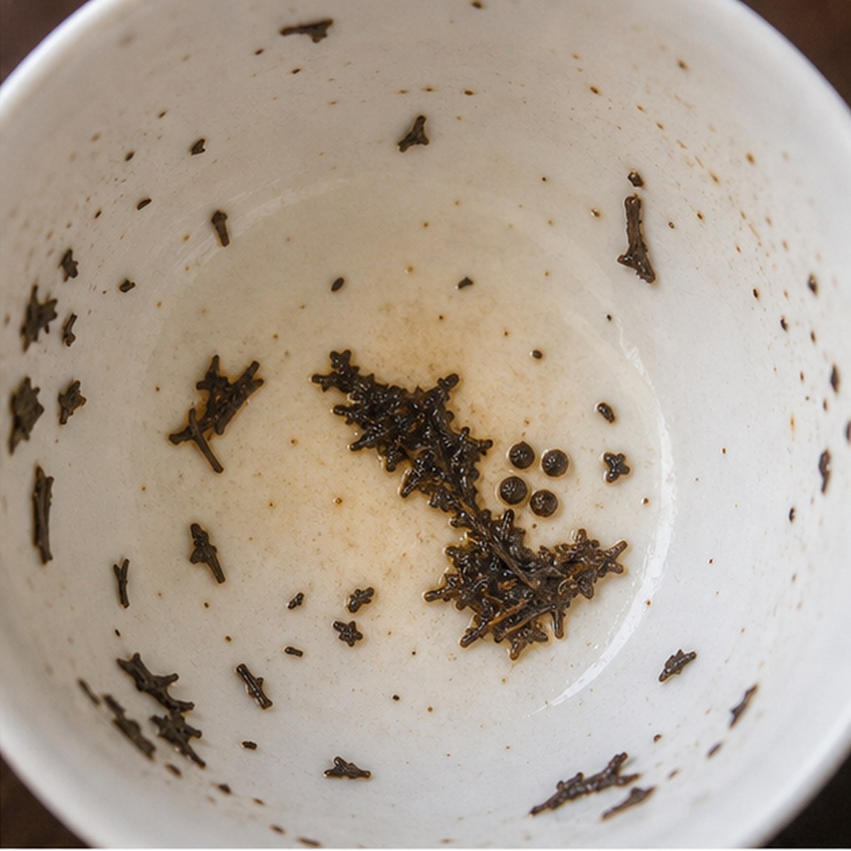 Holly tea leaves cup variation one