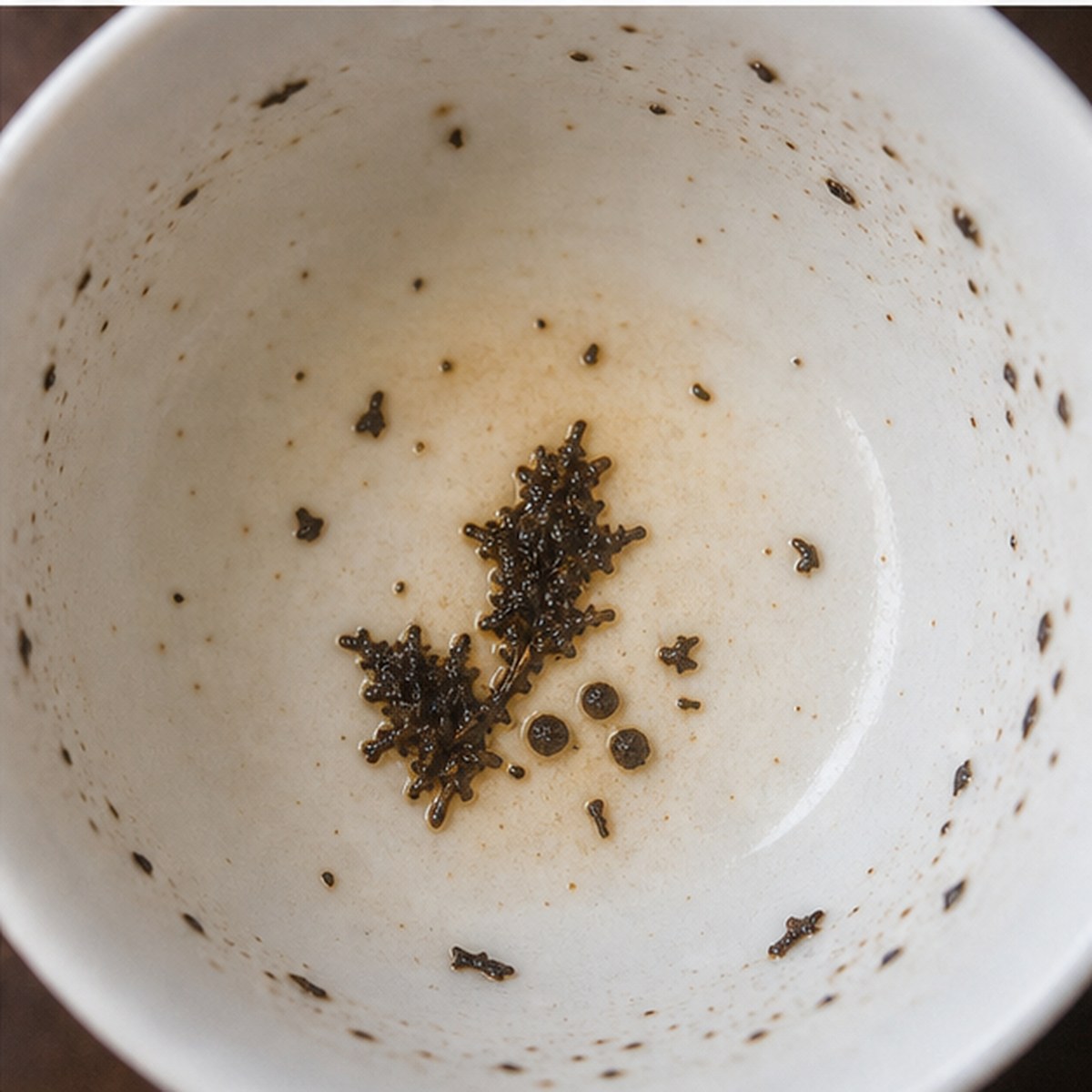 Holly tea leaves cup variation three