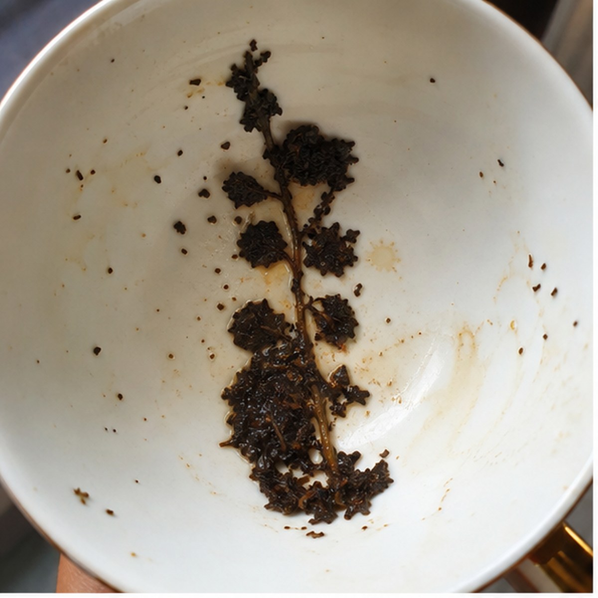 Hollyhock tea leaf reading cup example