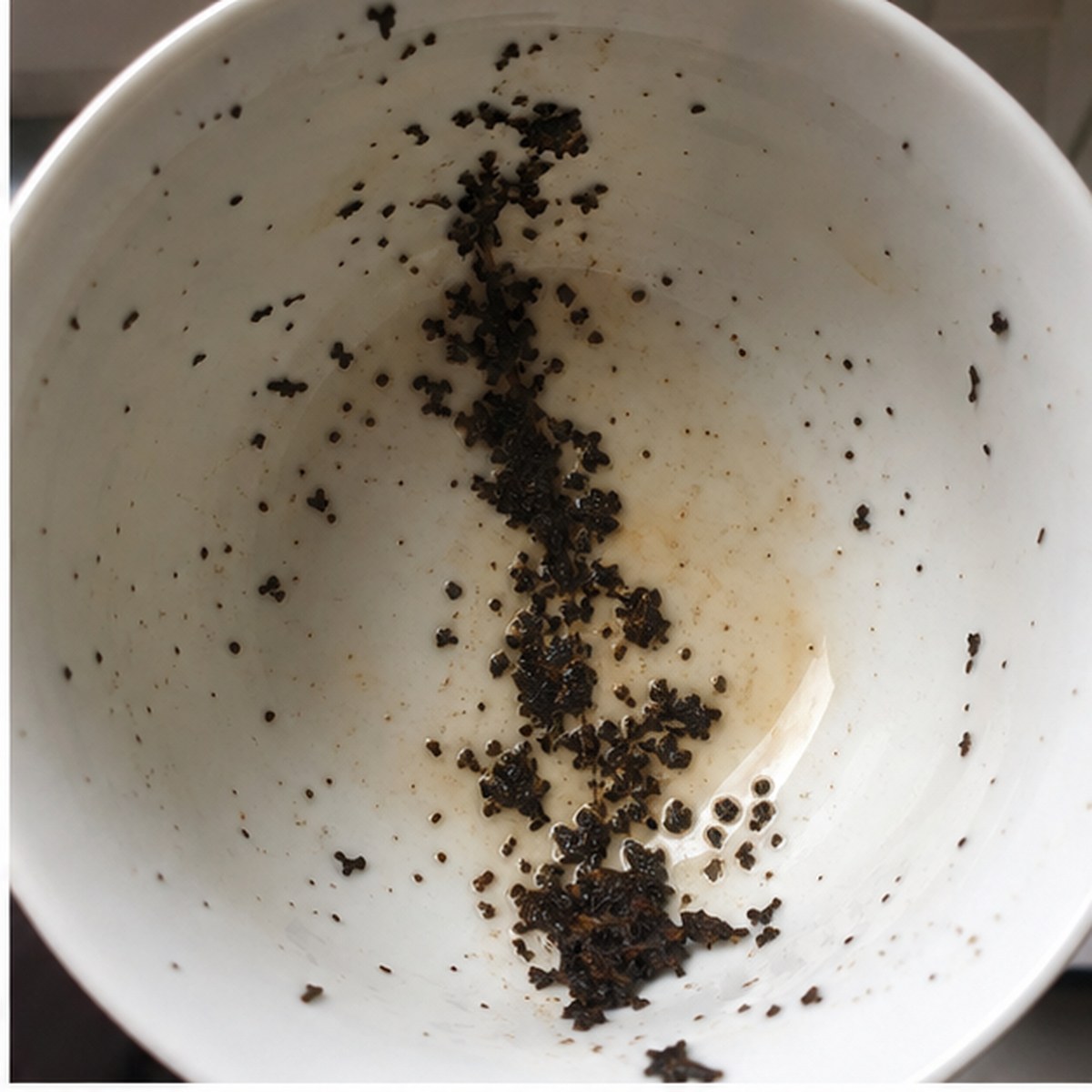 Hollyhock tea leaves cup variation one