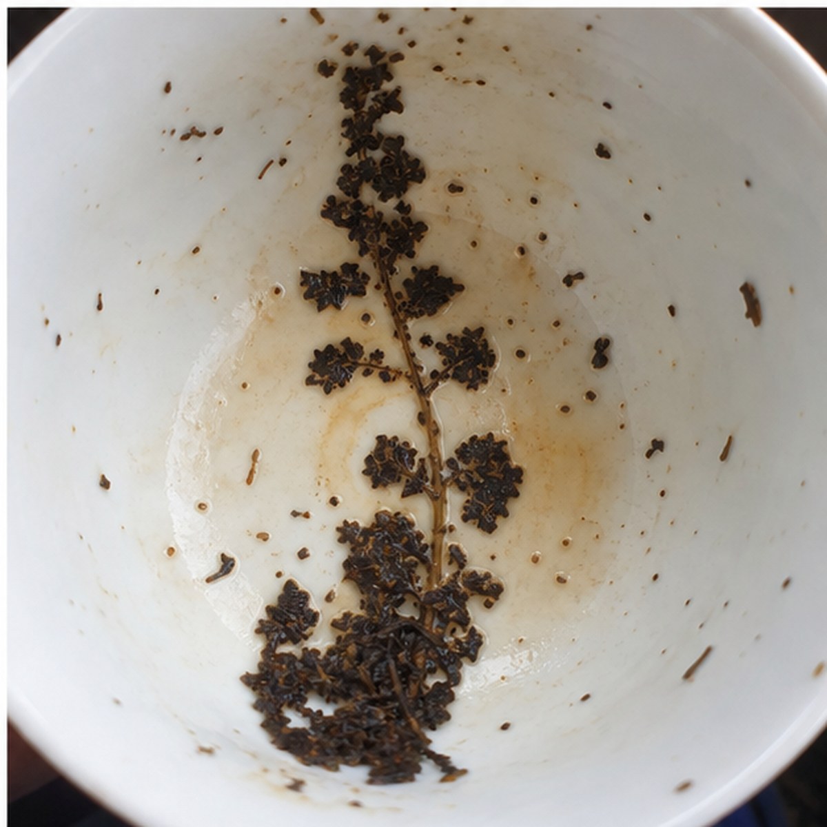 Hollyhock tea leaves cup variation three