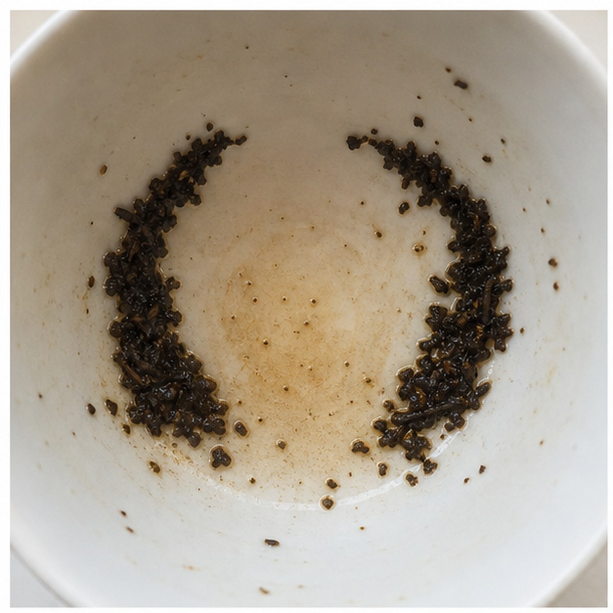 Horns tea leaf reading cup example