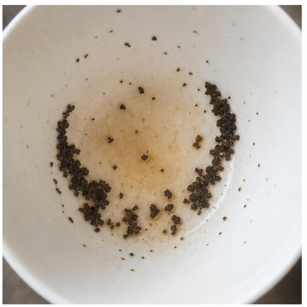 Horns tea leaves cup variation one
