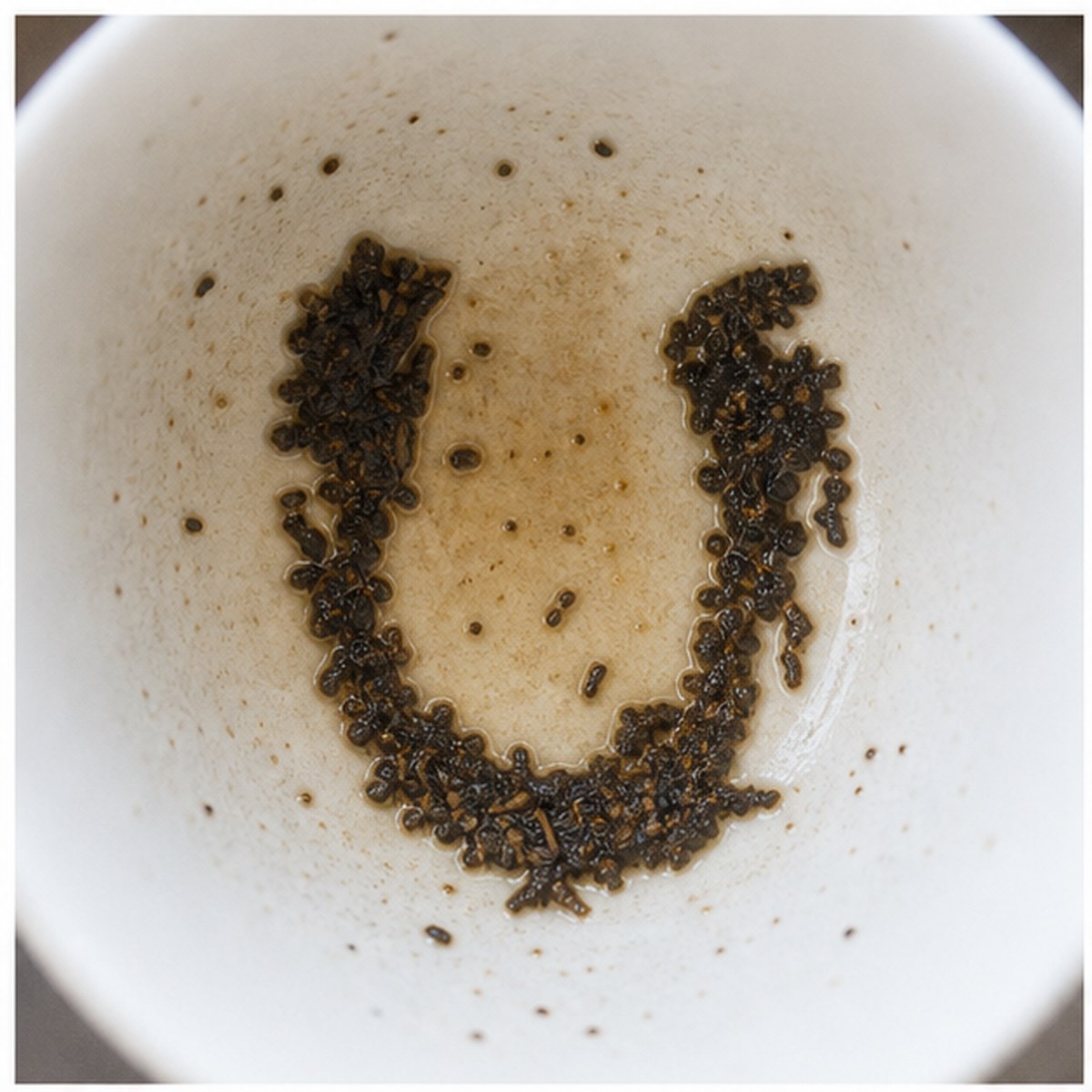 Horse-Collar tea leaf reading cup example
