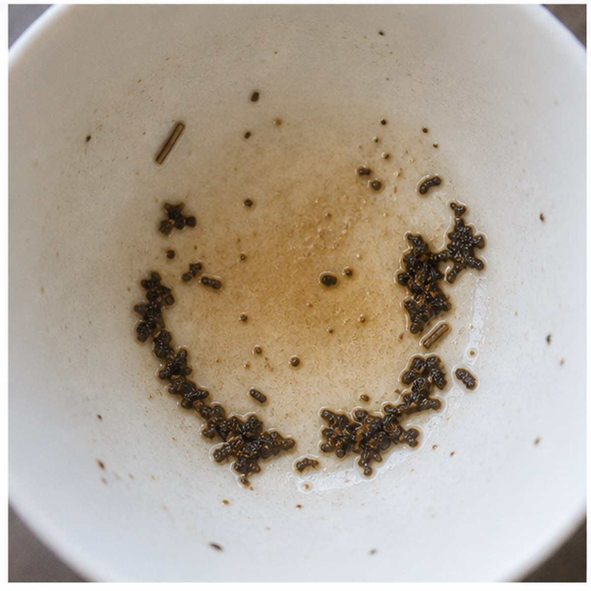 Horse-Collar tea leaves cup variation two