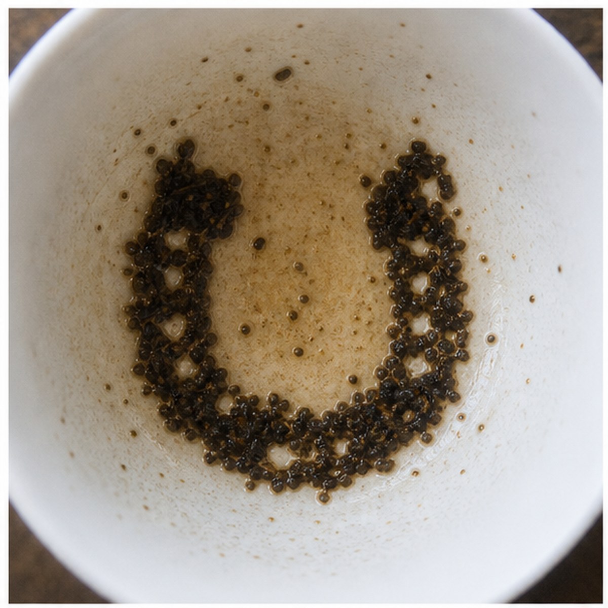 Horse-Shoe tea leaf reading cup example