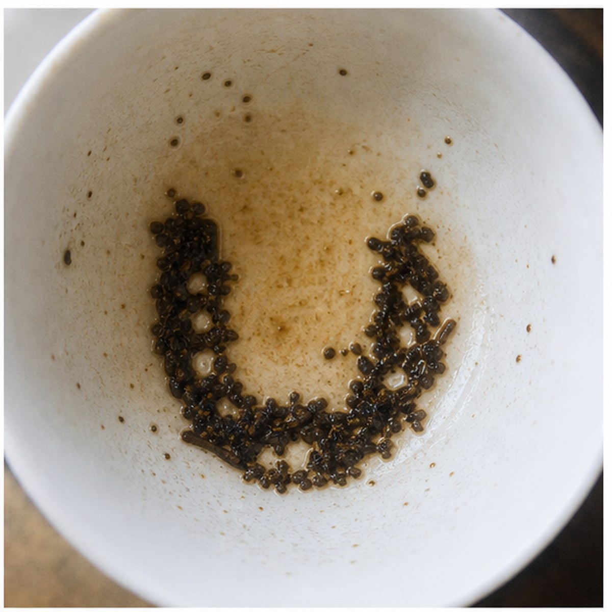 Horse-Shoe tea leaves cup variation one