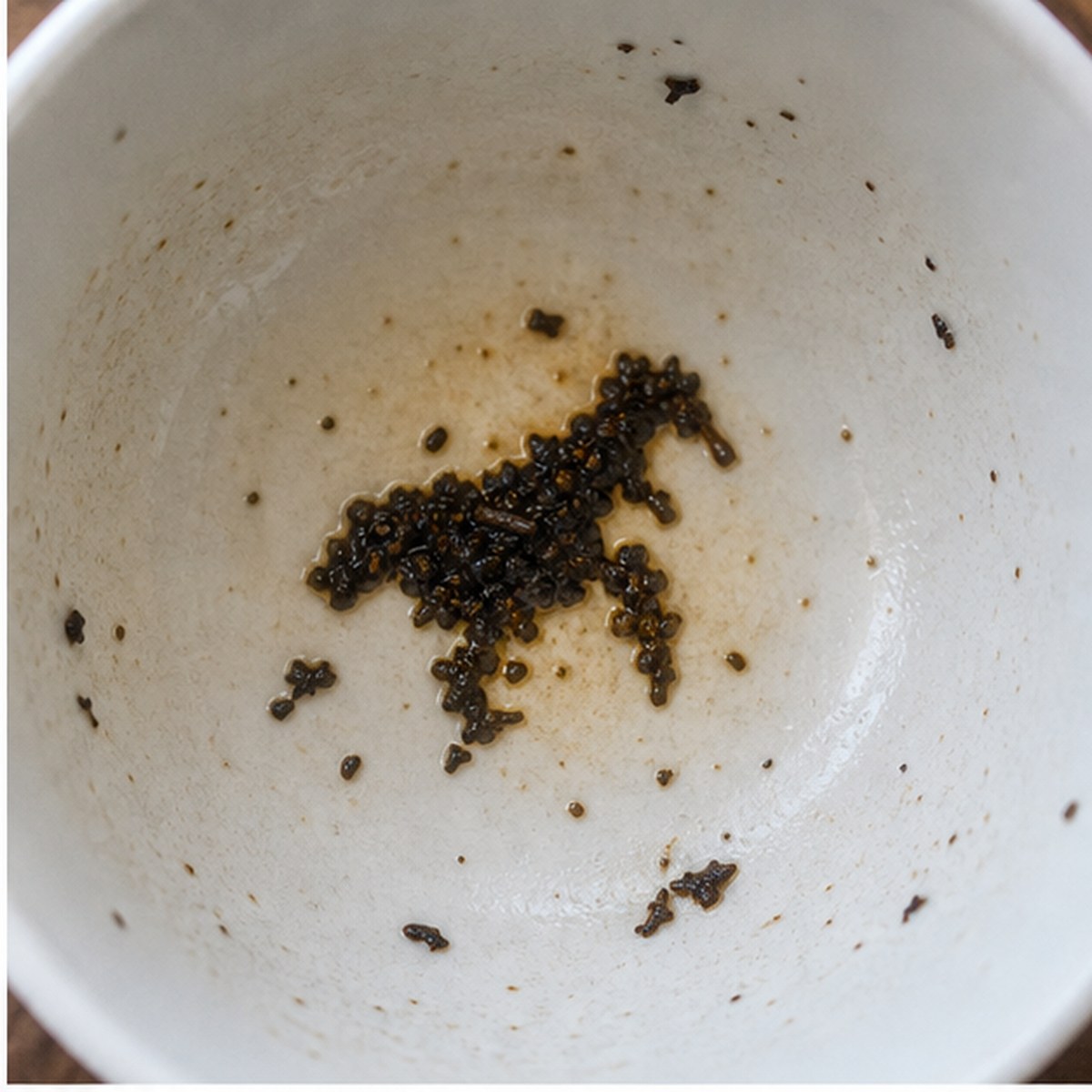 Horse tea leaves cup variation one