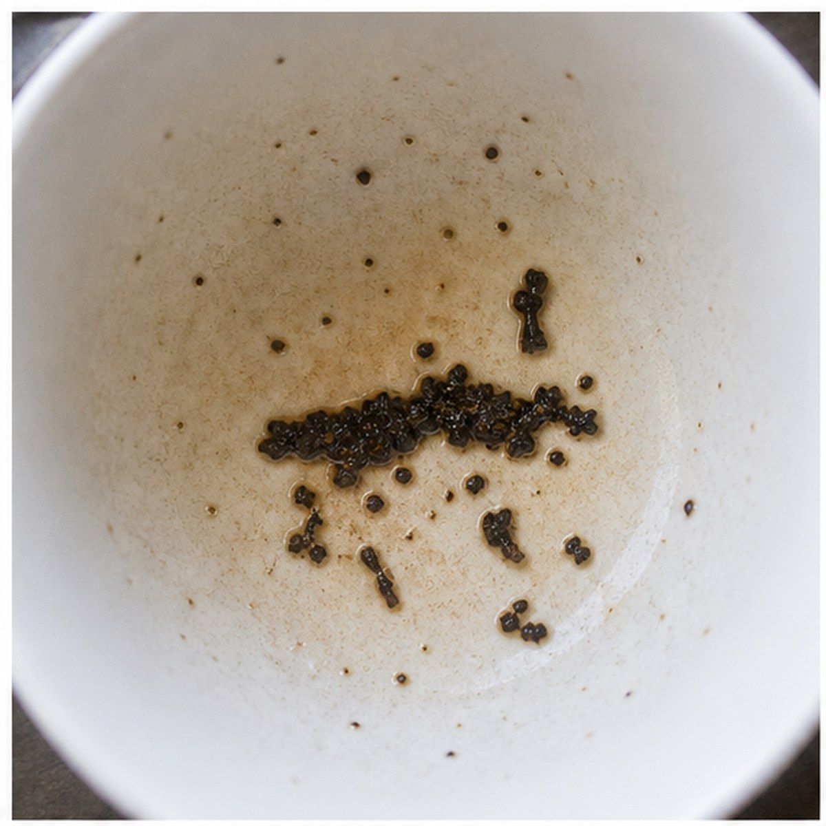 Horseman tea leaf reading cup example