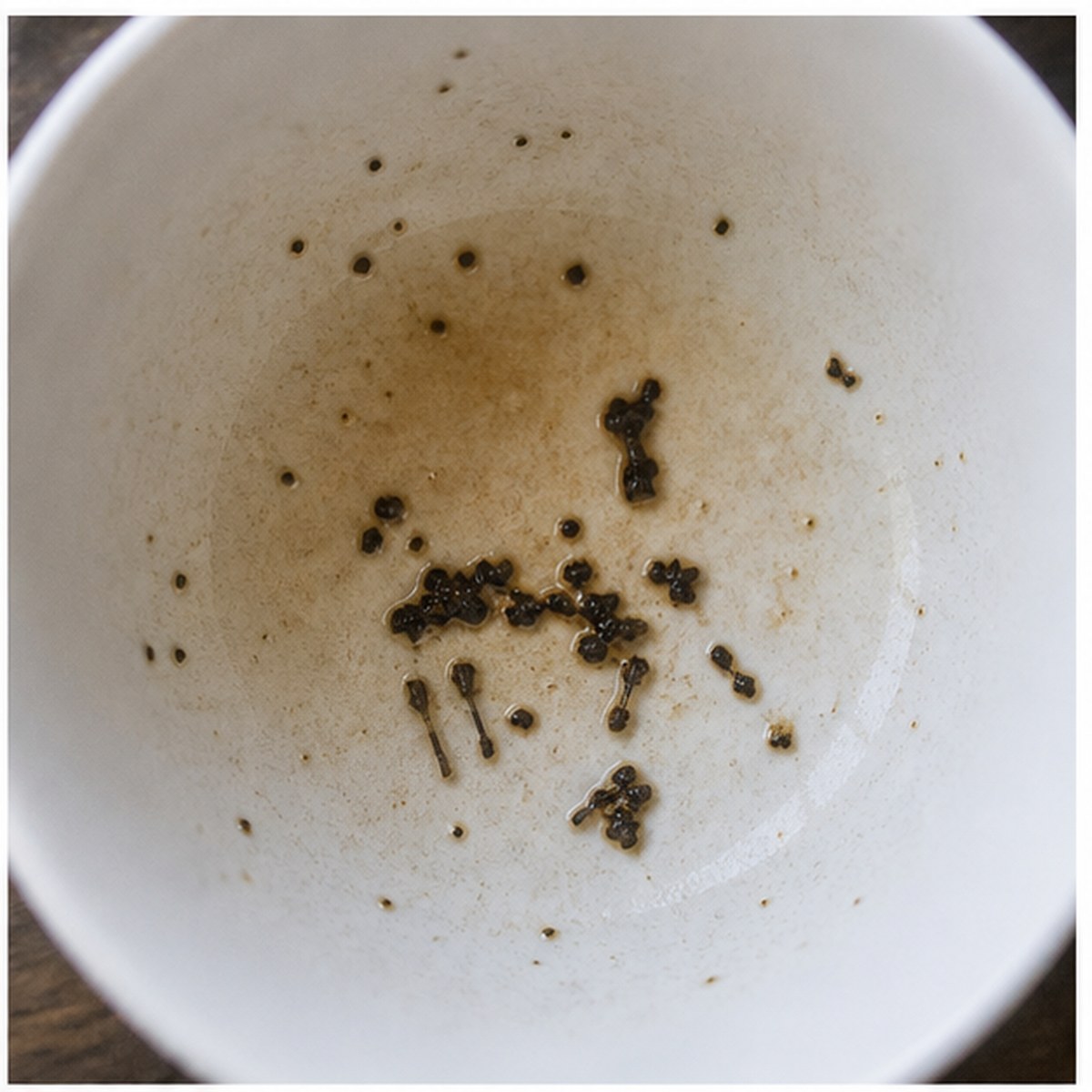 Horseman tea leaves cup variation one