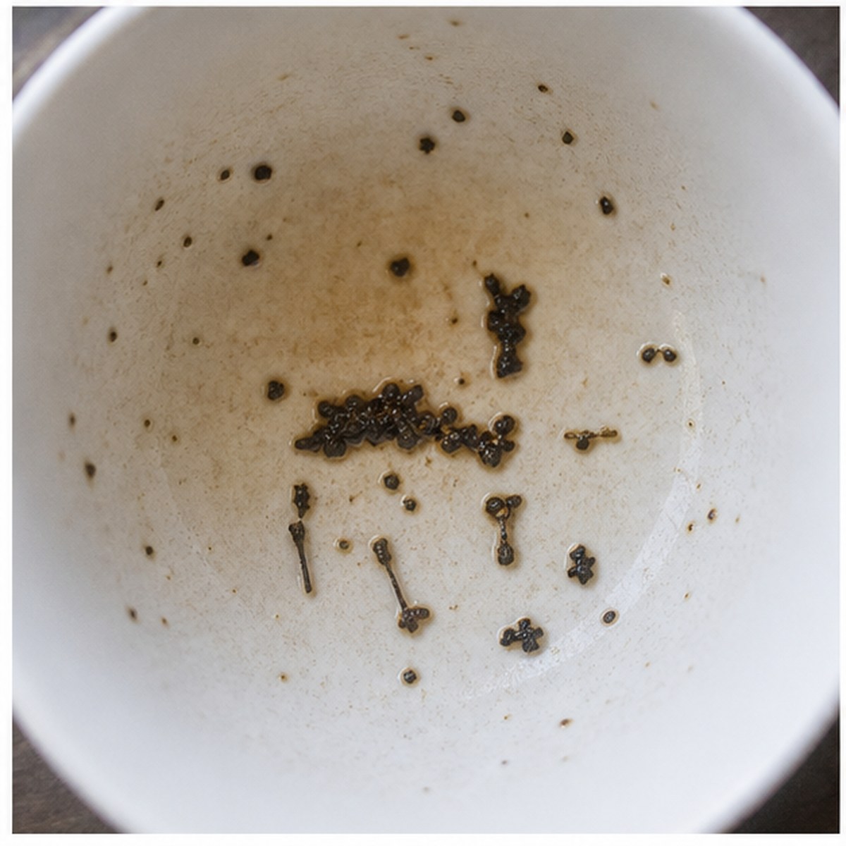 Horseman tea leaves cup variation two