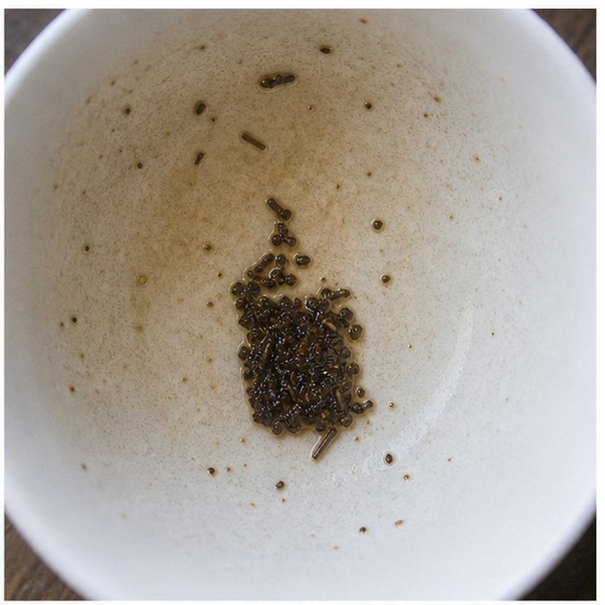 Hot-Water Bottle tea leaves cup variation one