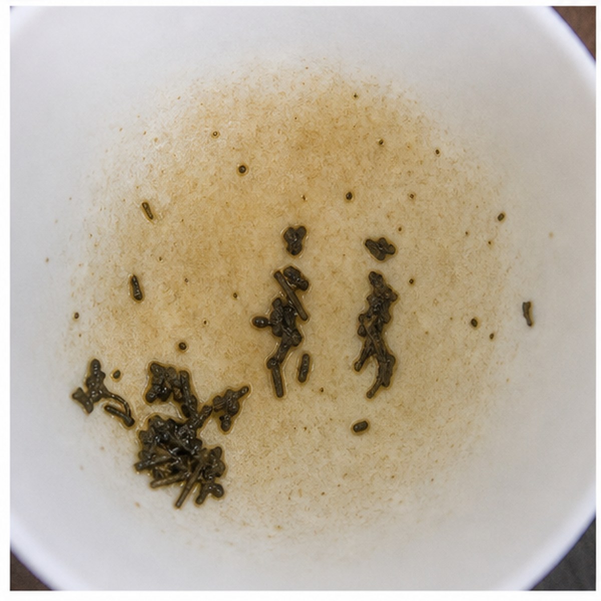 Human Figures tea leaves cup variation two