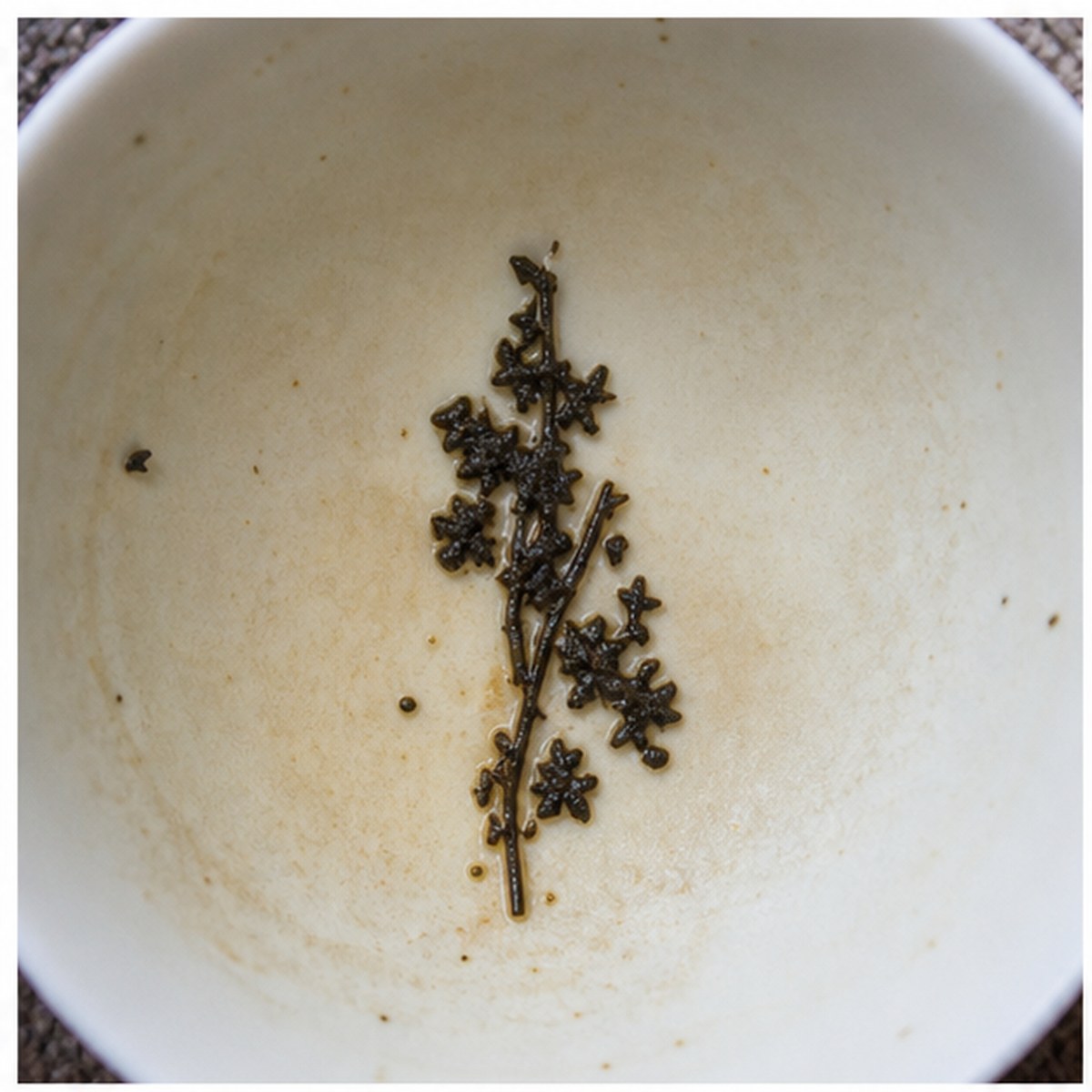 Hyacinth tea leaf reading cup example