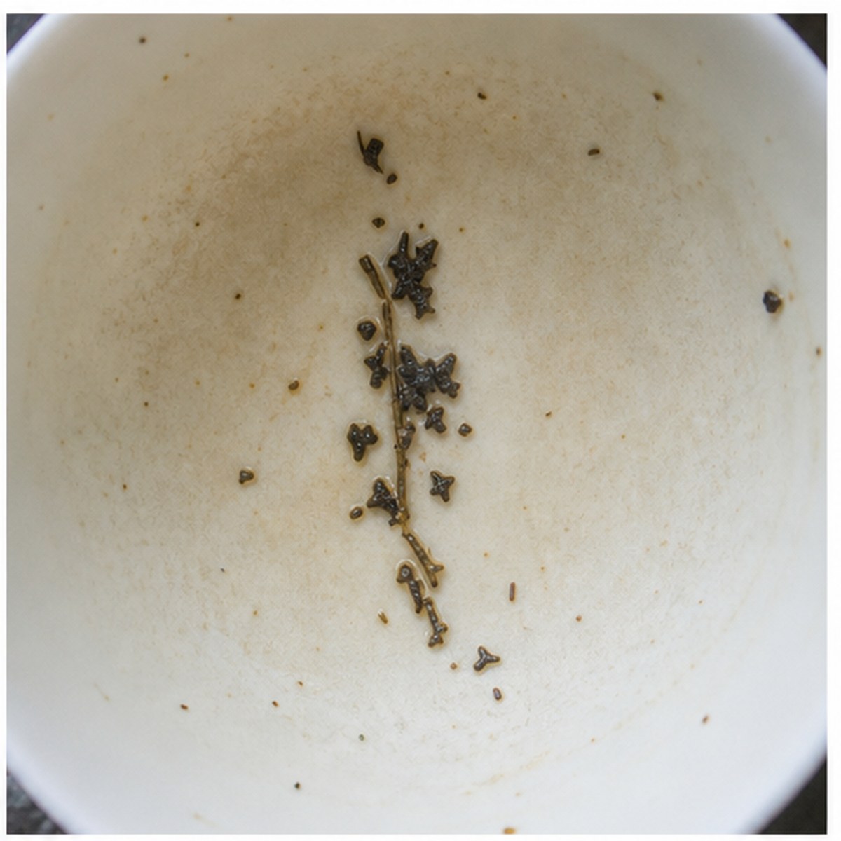 Hyacinth tea leaves cup variation one