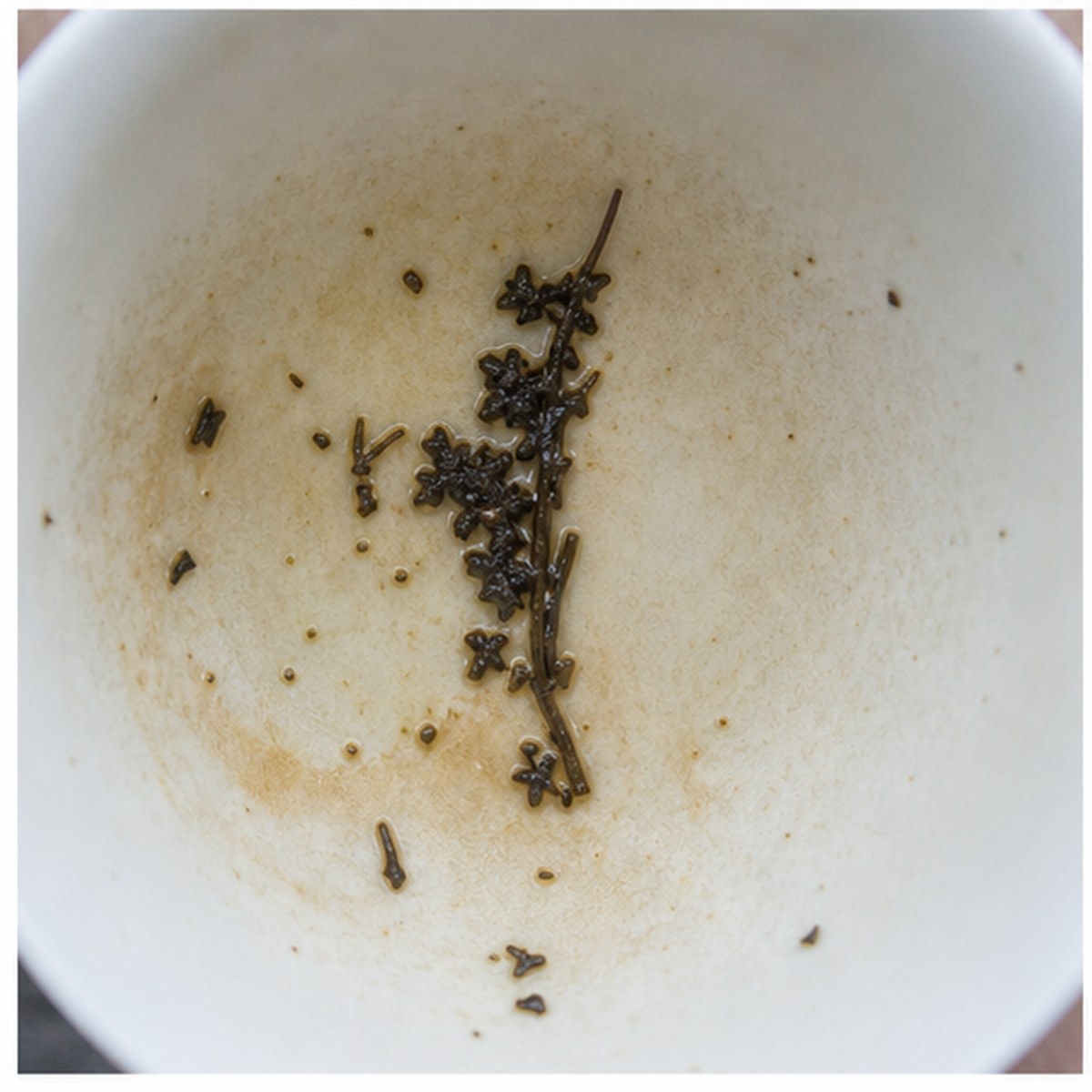 Hyacinth tea leaves cup variation two