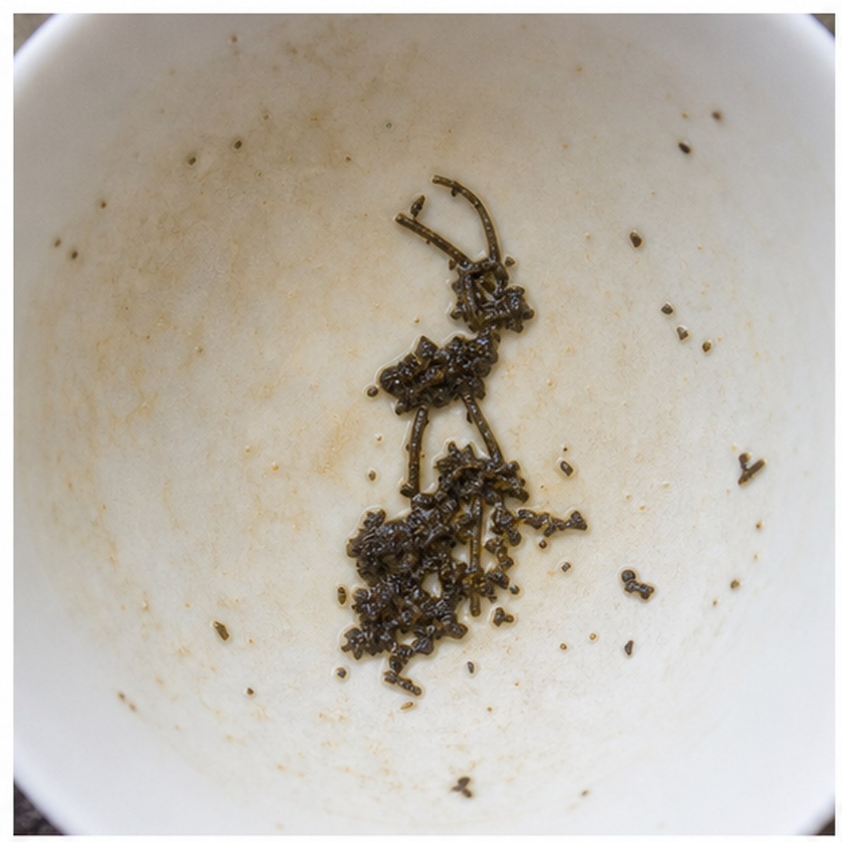 Ibex On Rock tea leaf reading cup example