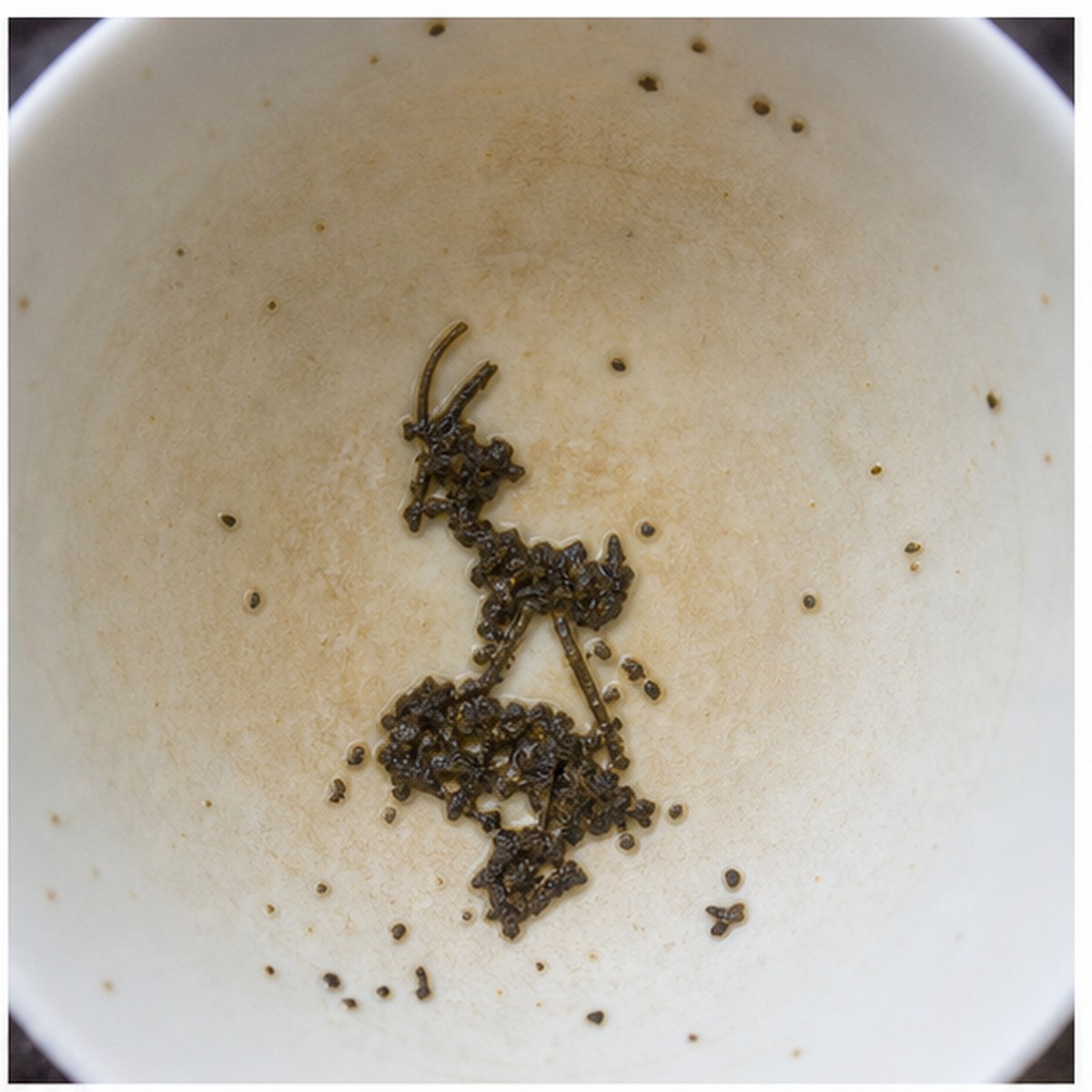 Ibex On Rock tea leaves cup variation one