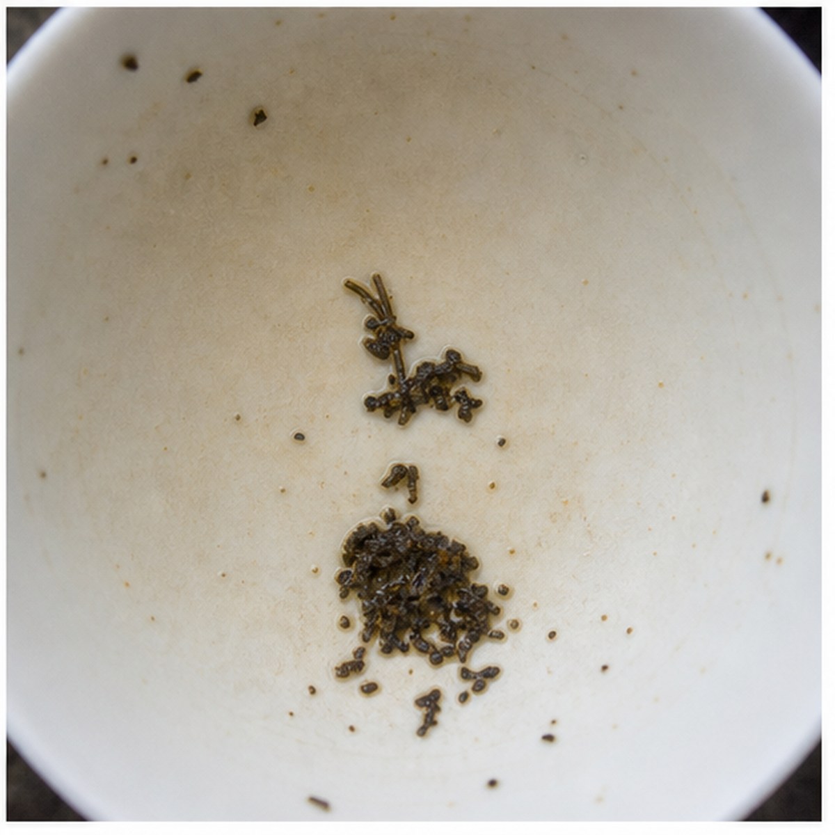 Ibex On Rock tea leaves cup variation three