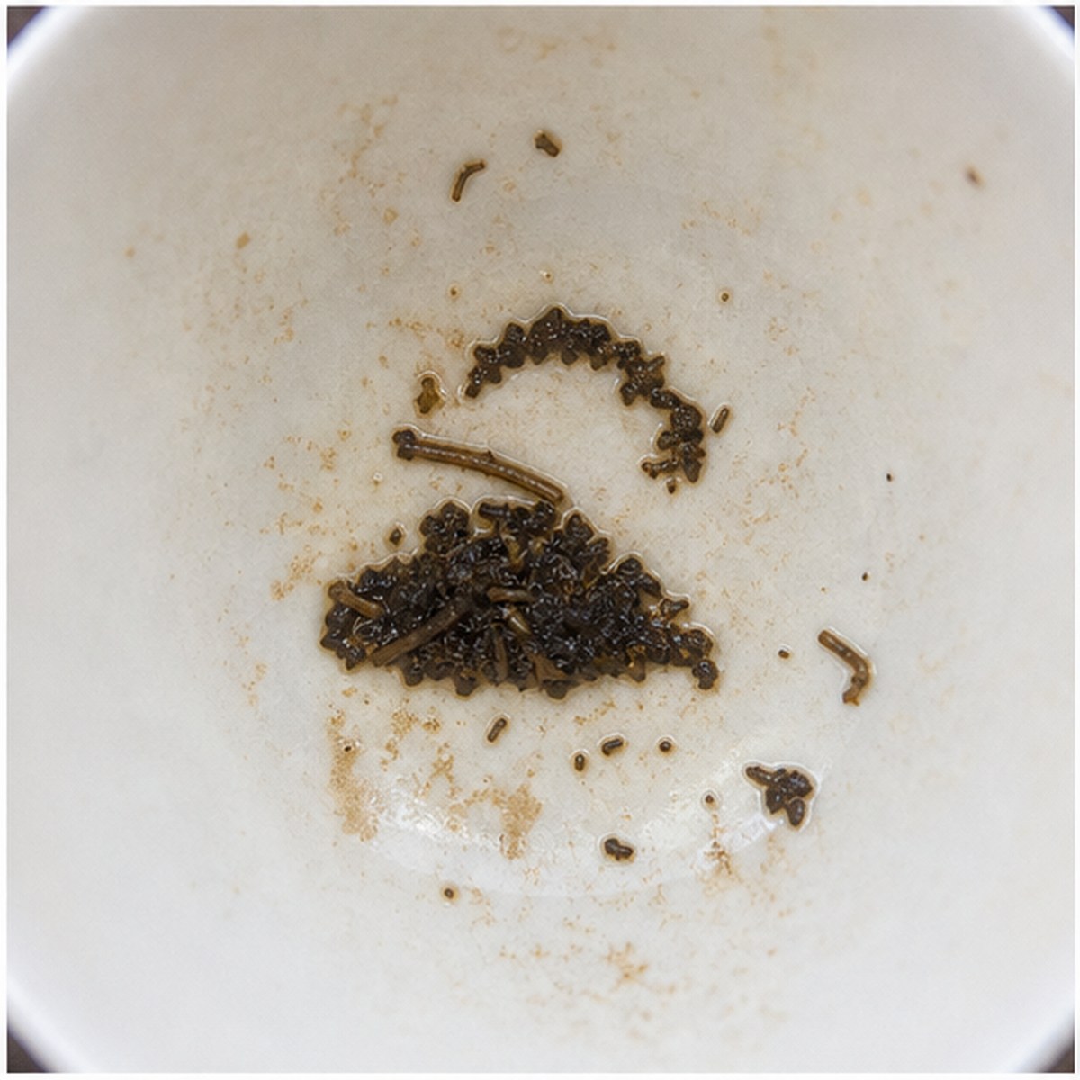 Iron tea leaves cup variation two