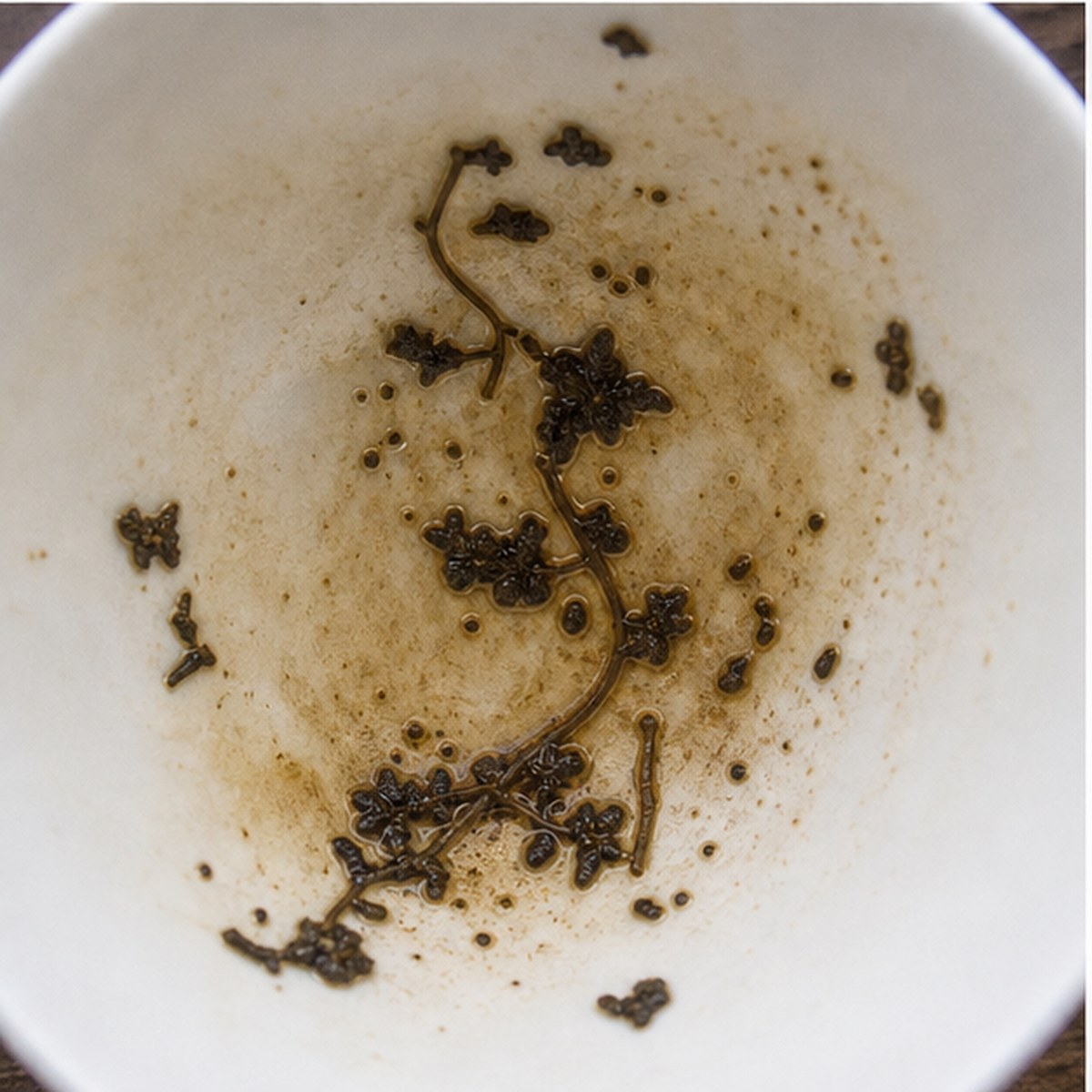 Ivy tea leaves cup variation two