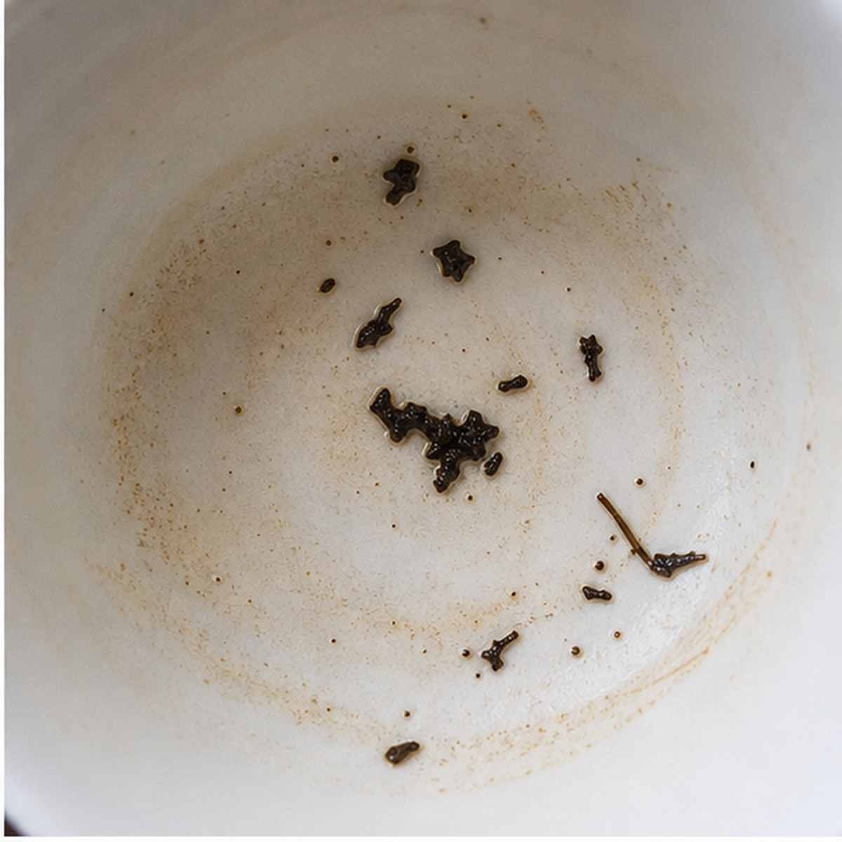 Jackal tea leaves cup variation one