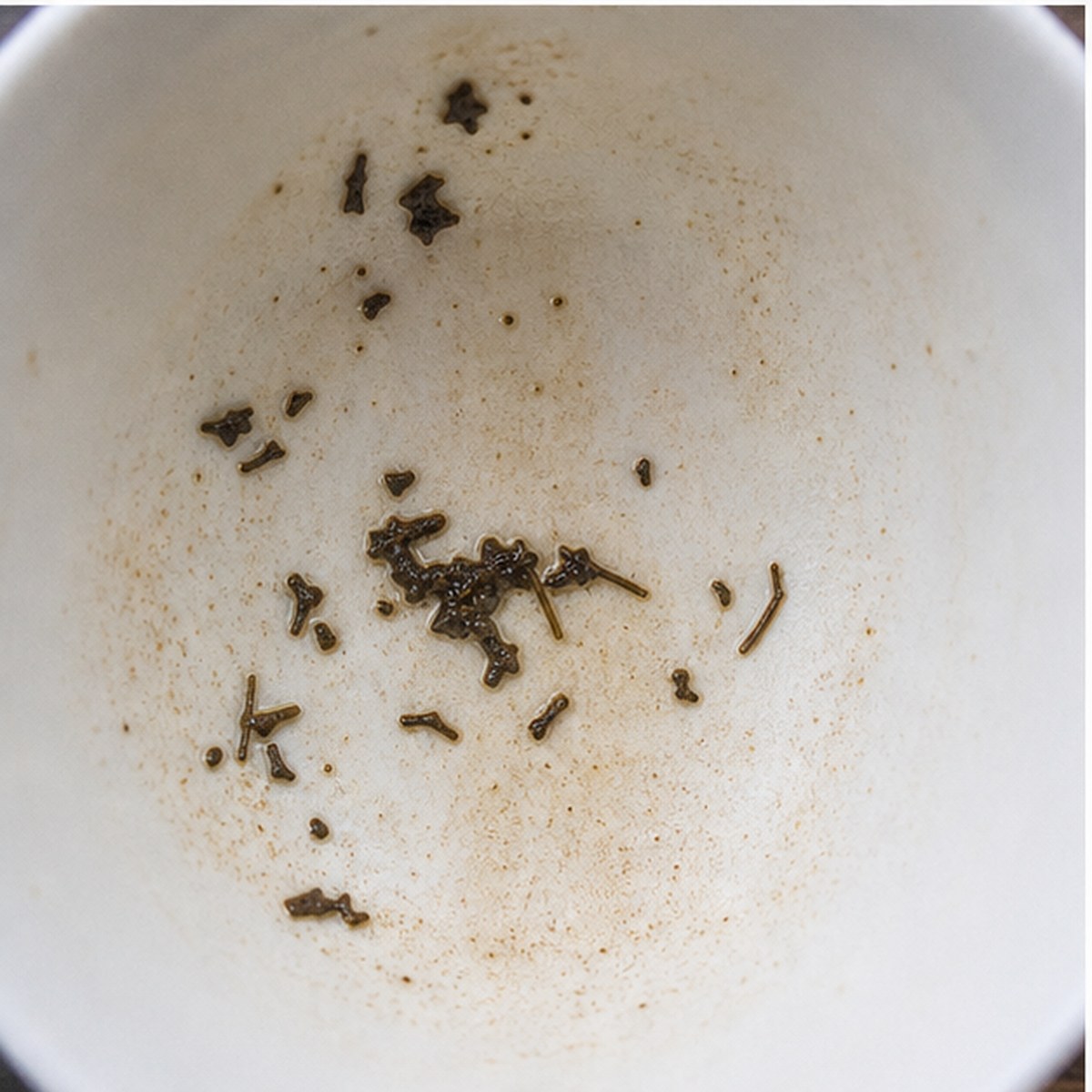 Jackal tea leaves cup variation two