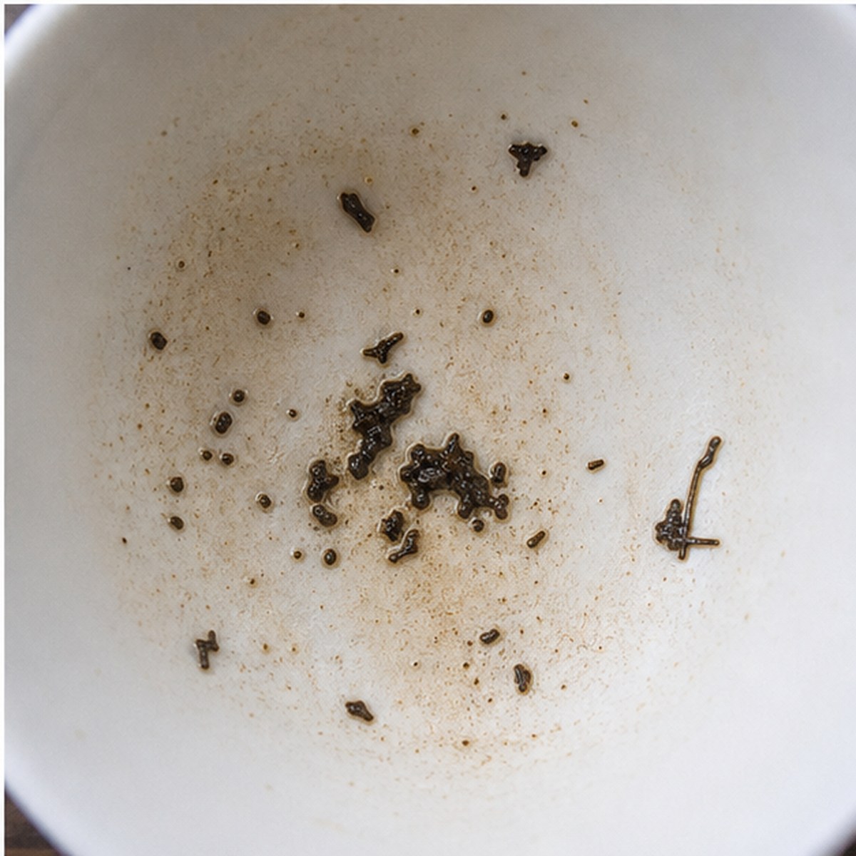 Jackal tea leaves cup variation three