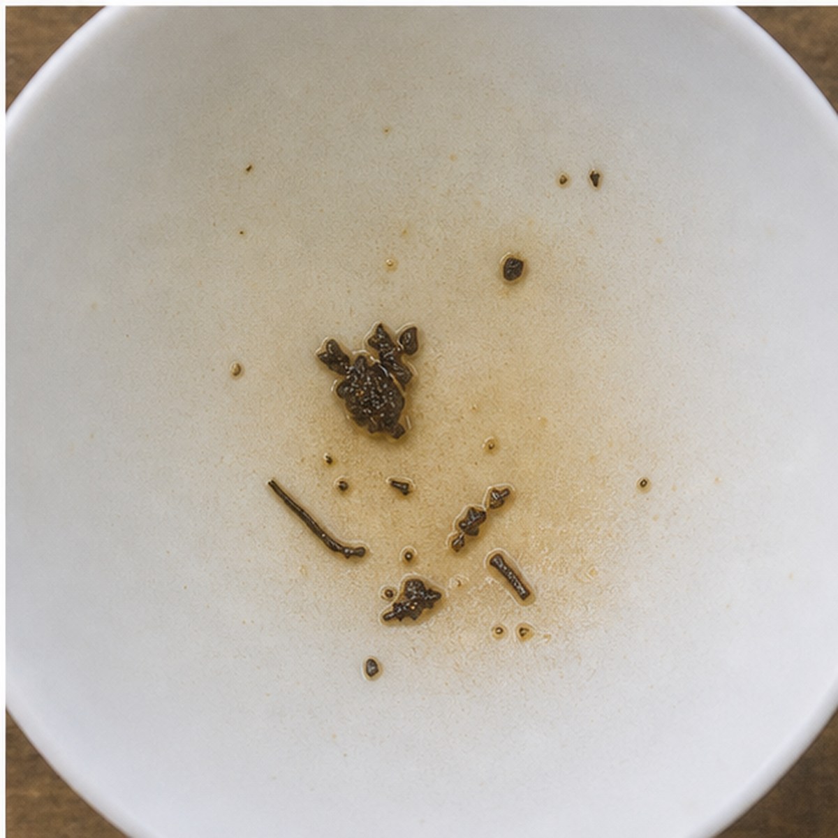 Kangaroo tea leaves cup variation three
